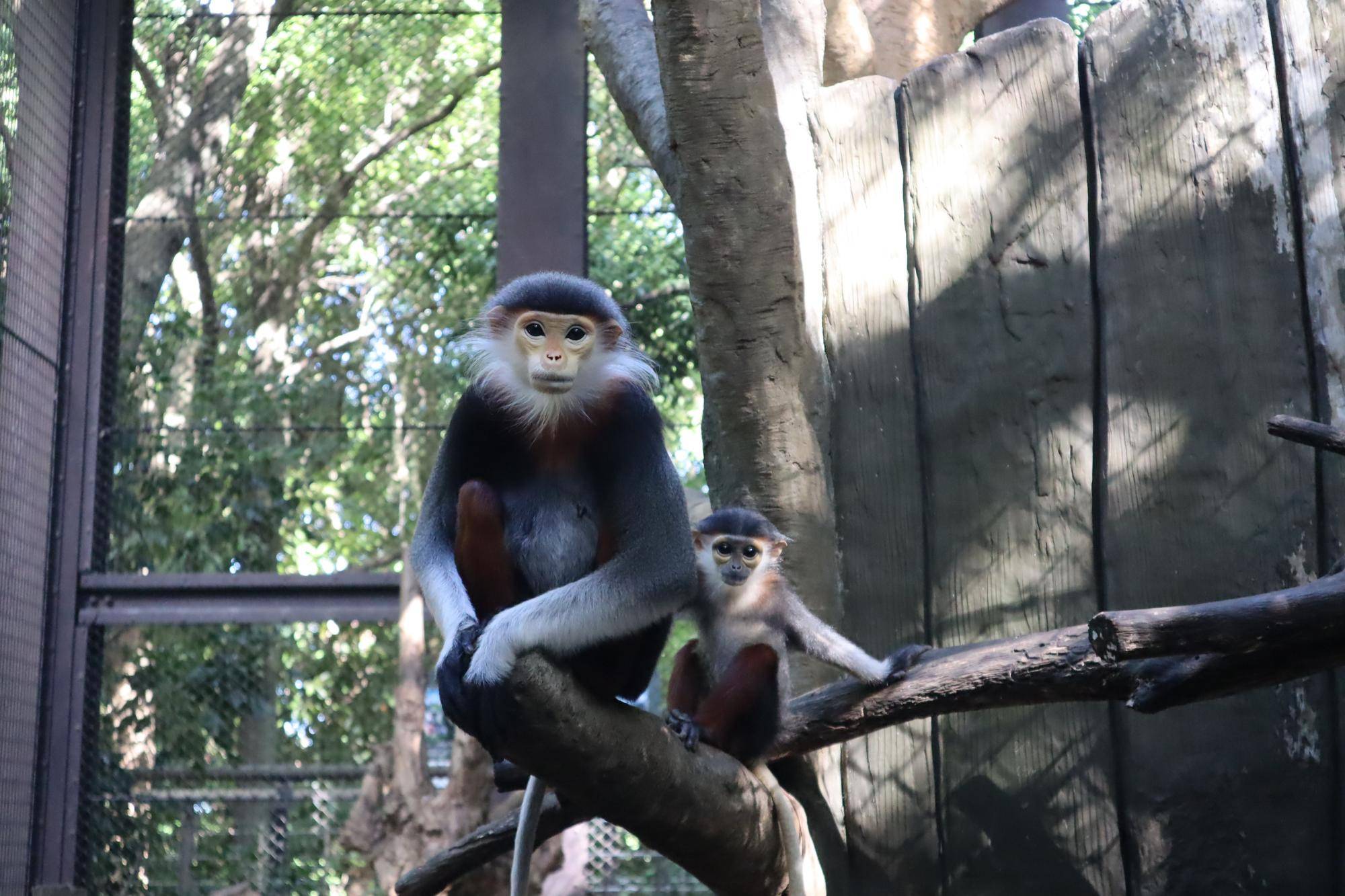 【飼育日誌】20230819:サンありがとう (9).jpg