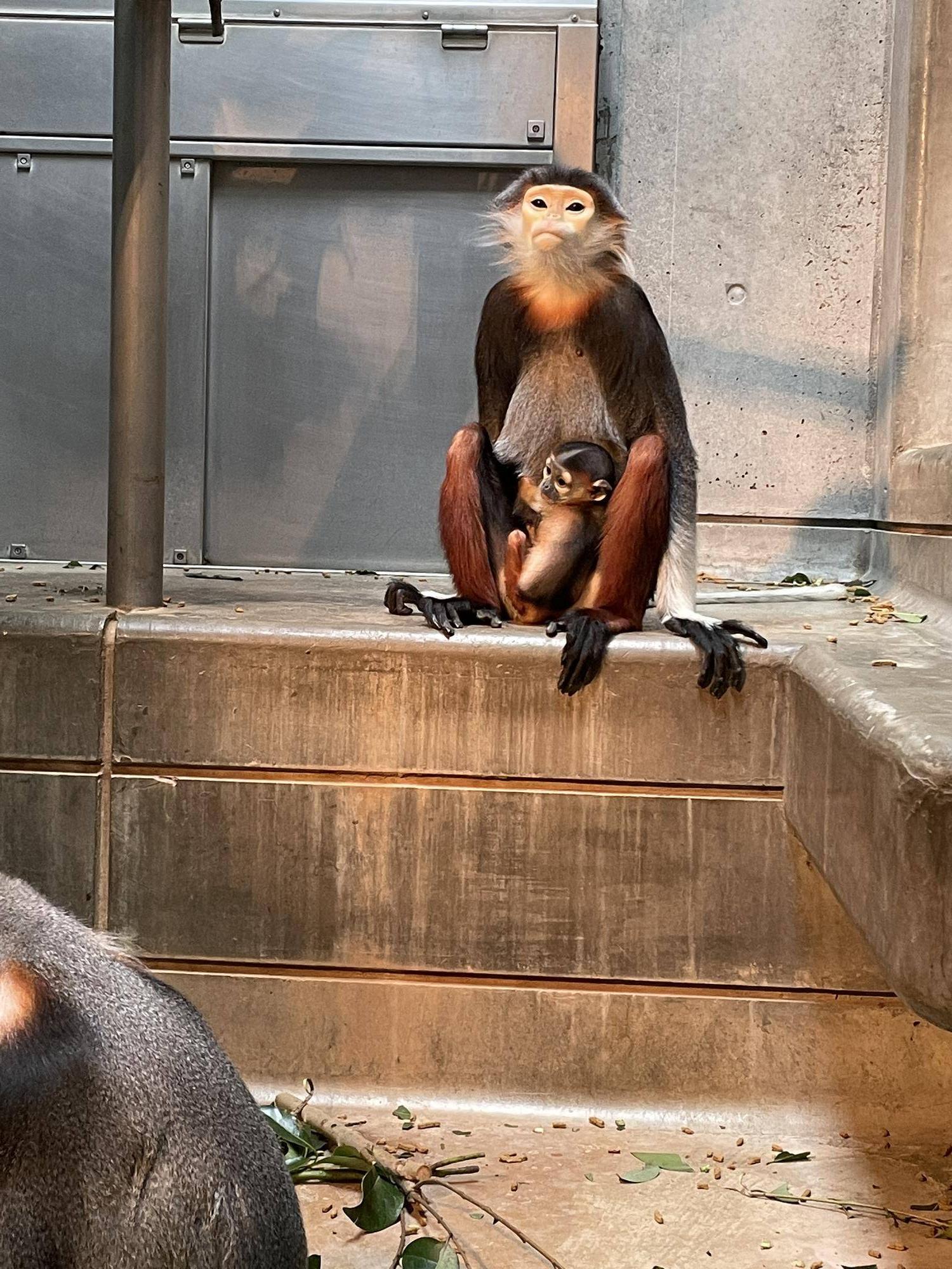 【飼育日誌】20230819:サンありがとう (13).jpg