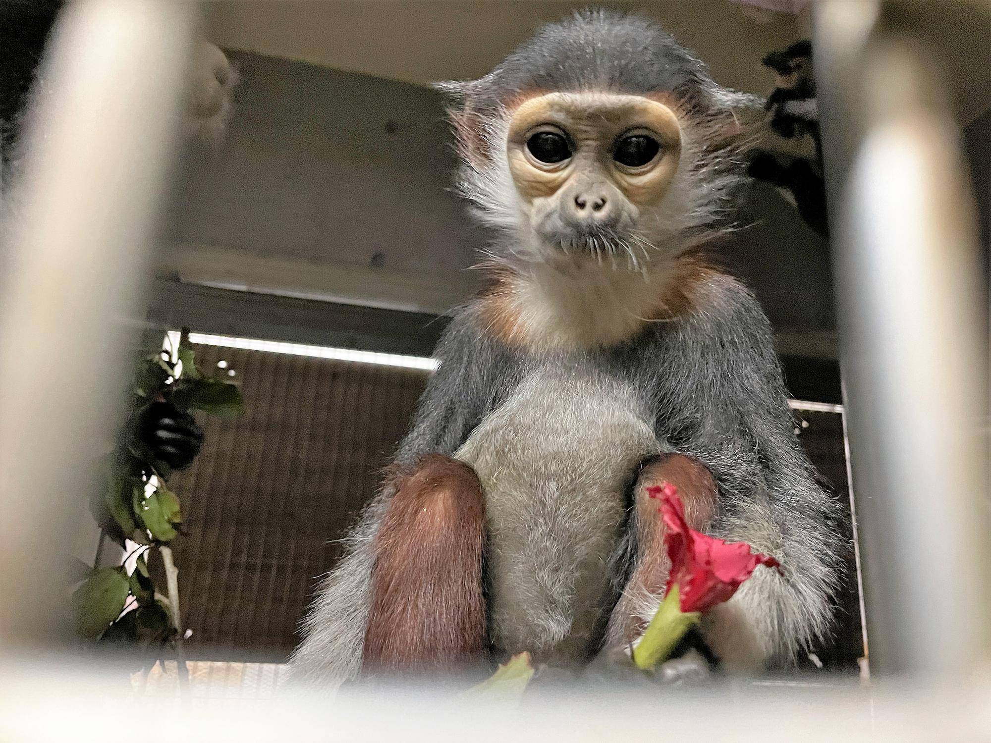 【飼育日誌】20230819:サンありがとう (30).jpg