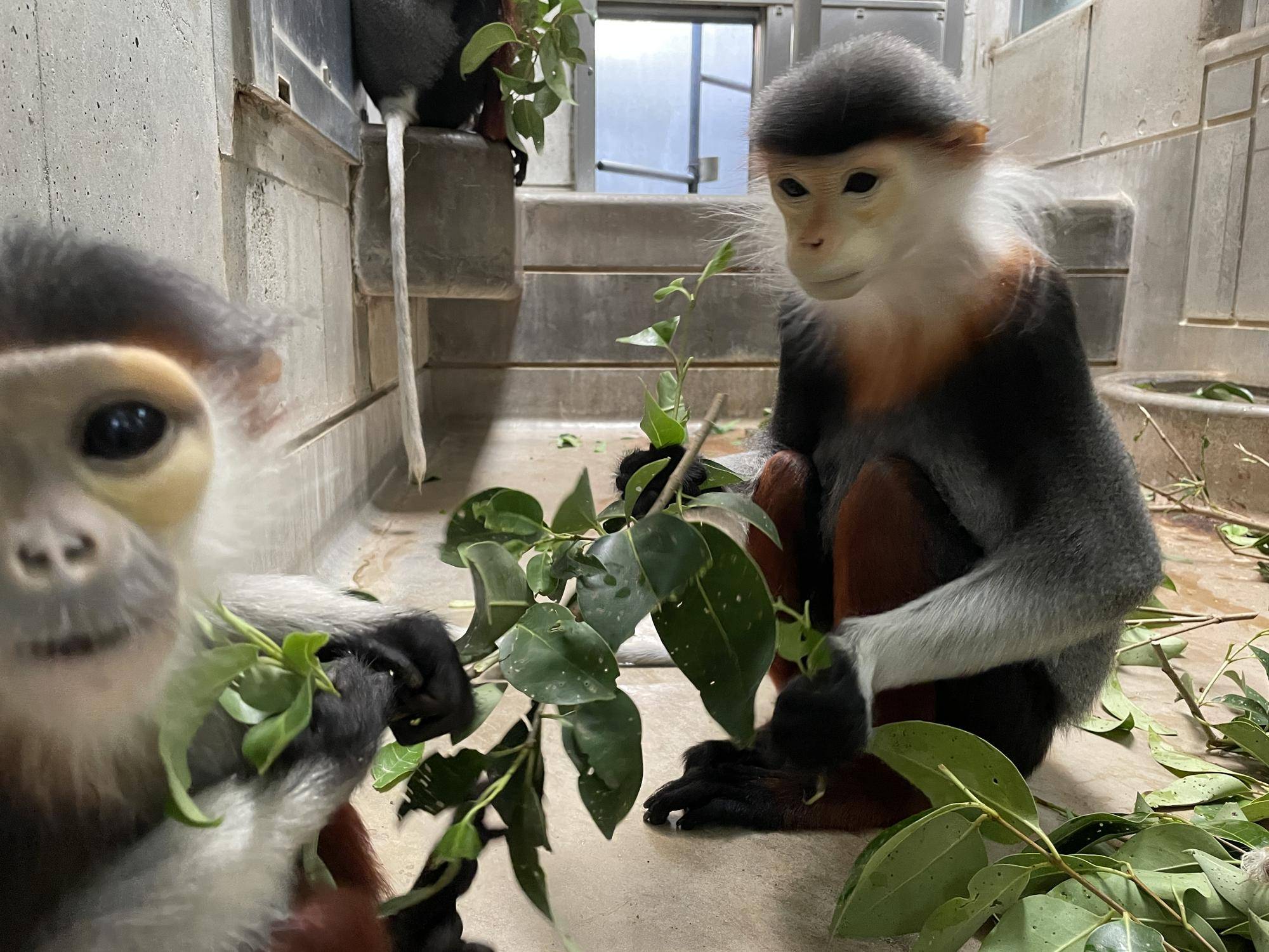 【飼育日誌】20230819:サンありがとう (3).jpg