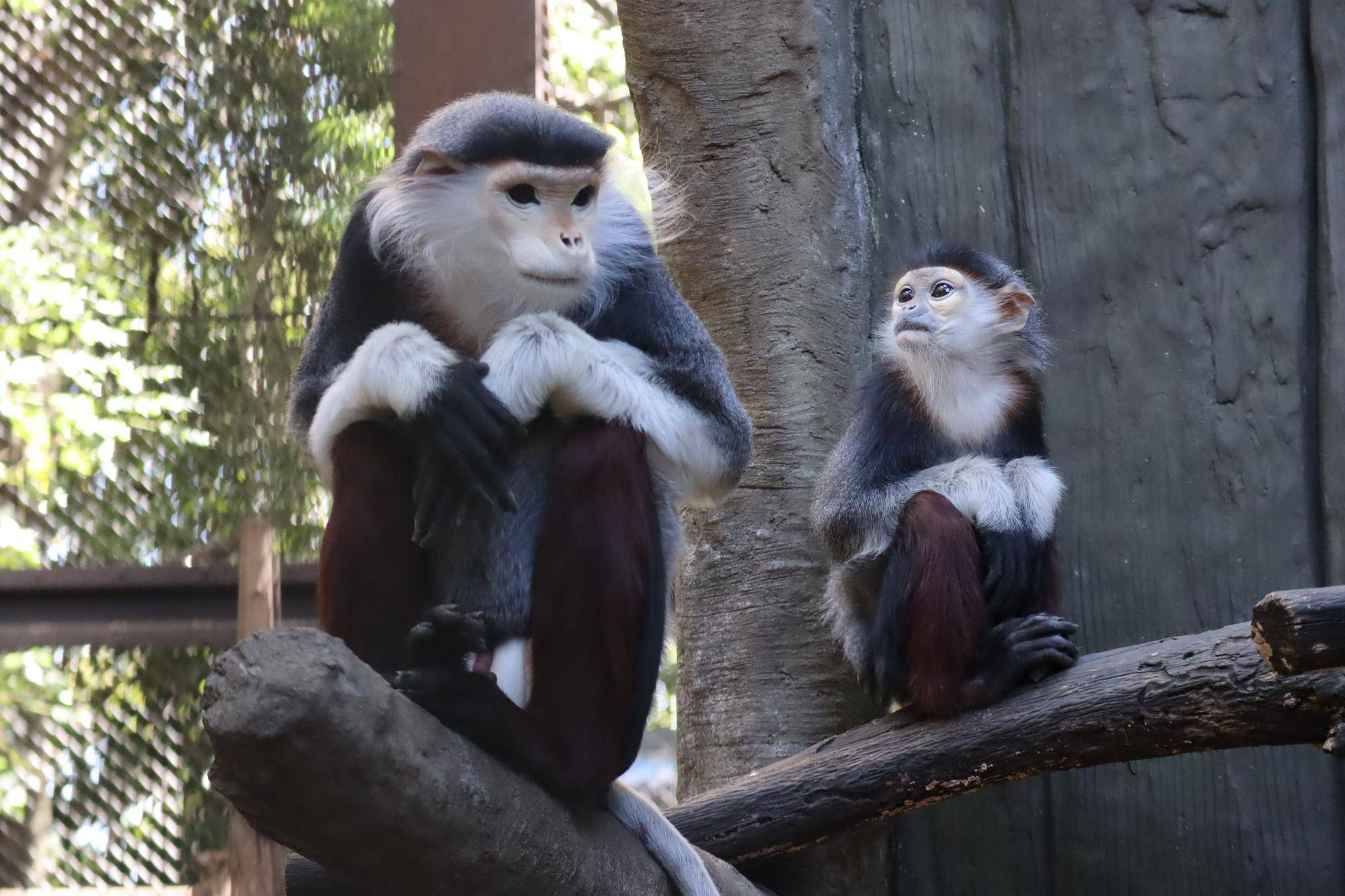 【飼育日誌】20230819:サンありがとう (21).jpg