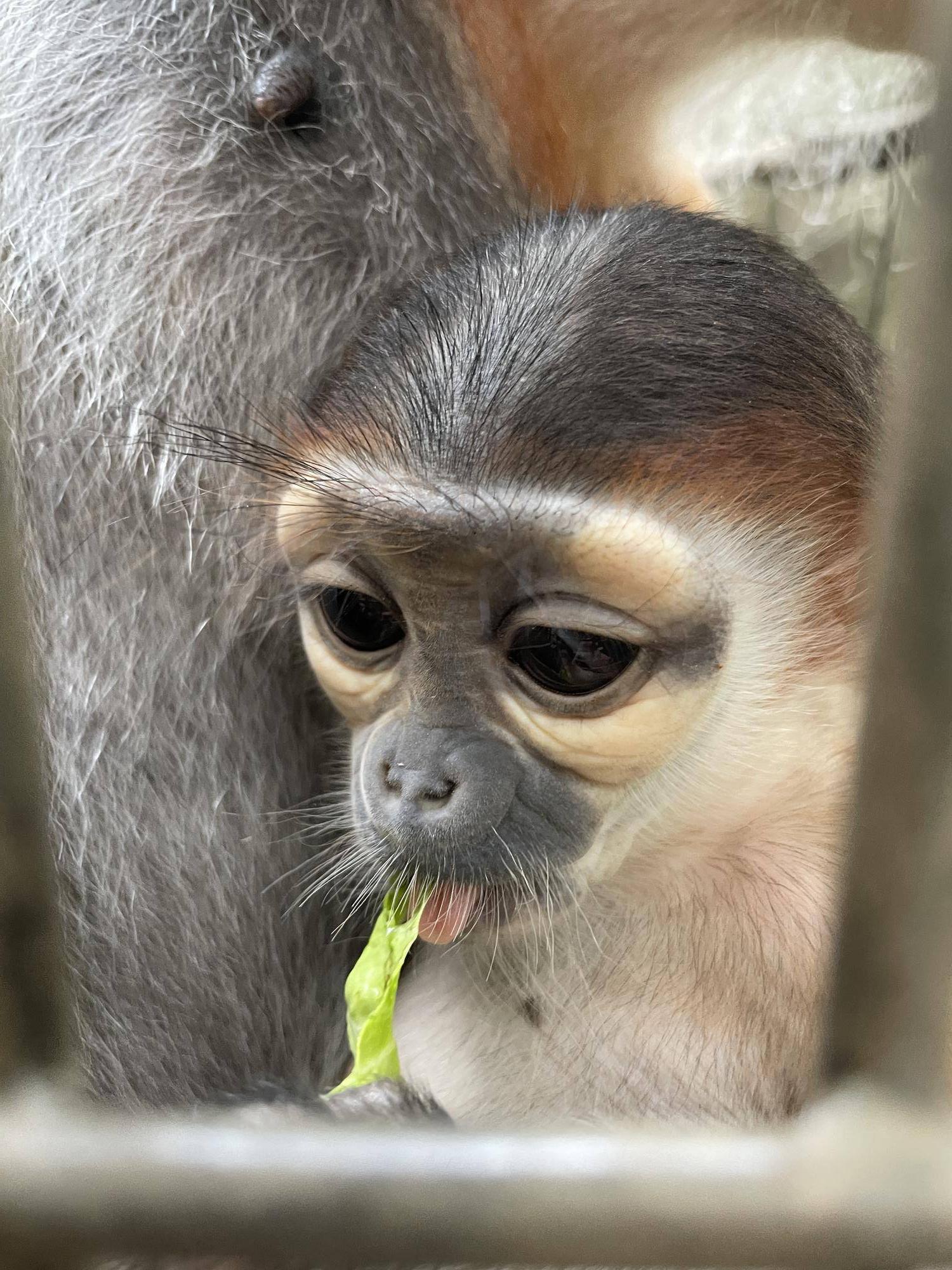 【飼育日誌】20230819:サンありがとう (5).jpg