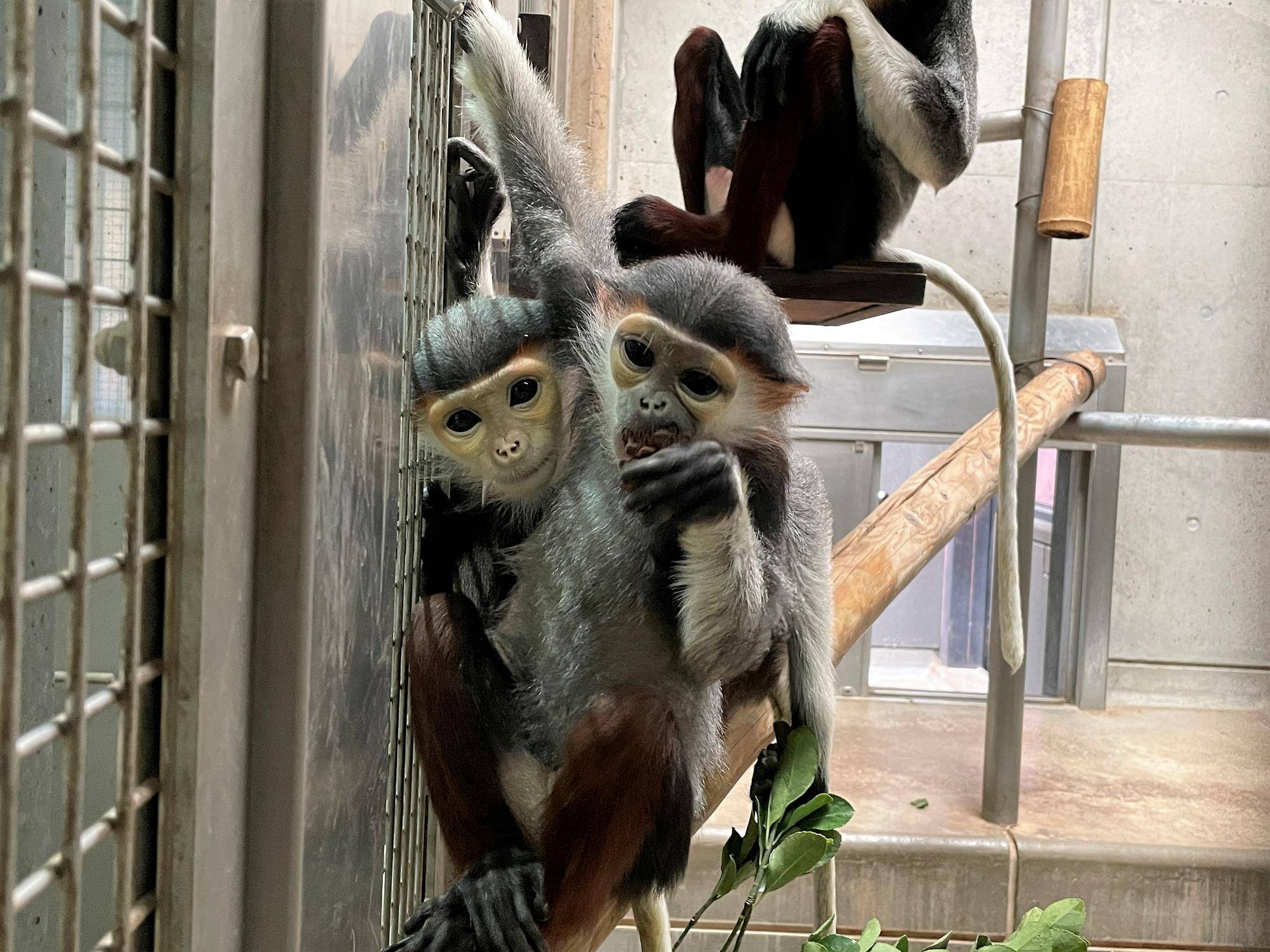 【飼育日誌】20230819:サンありがとう (19).jpg