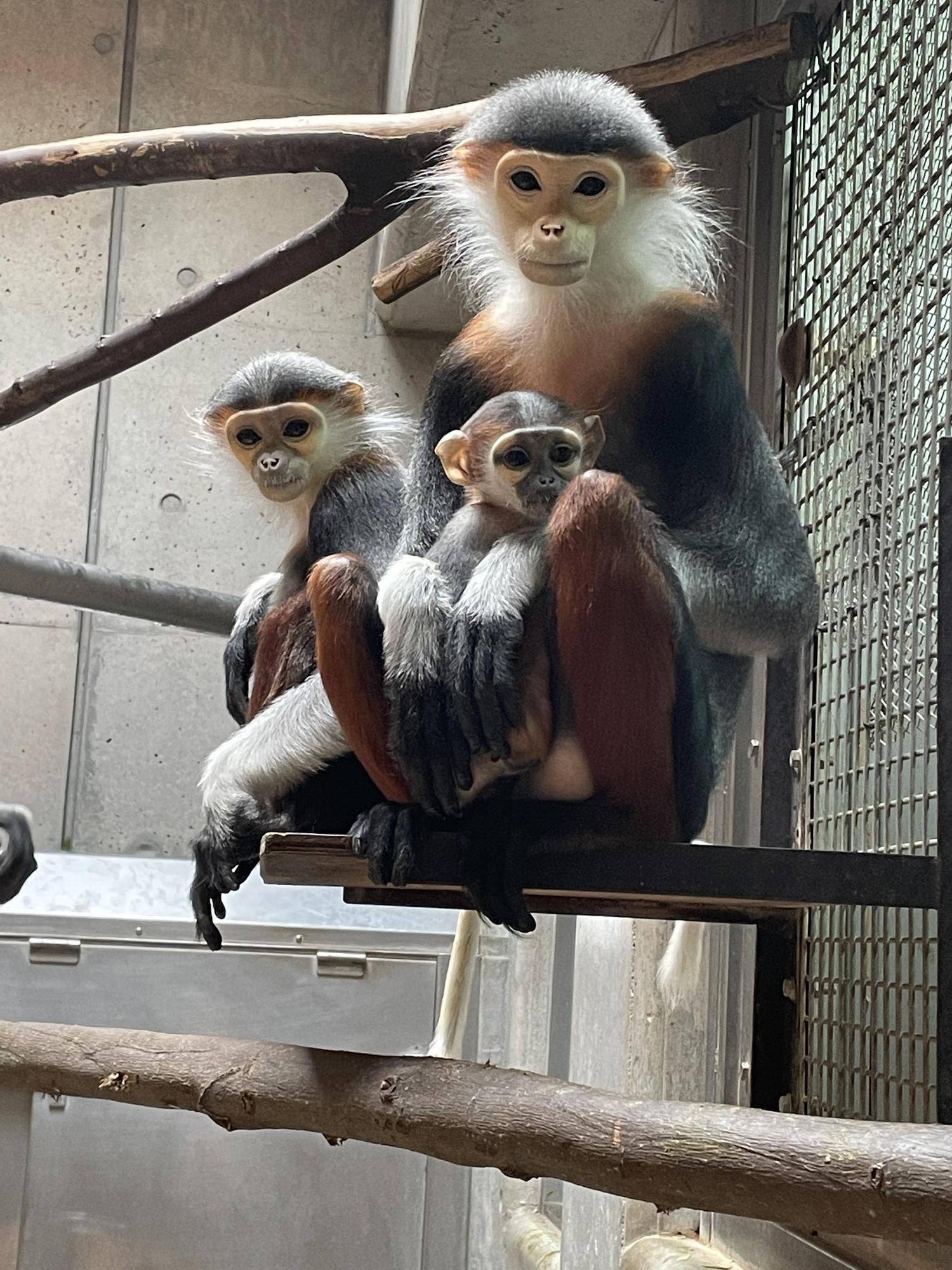 【飼育日誌】20230819:サンありがとう (10).jpg