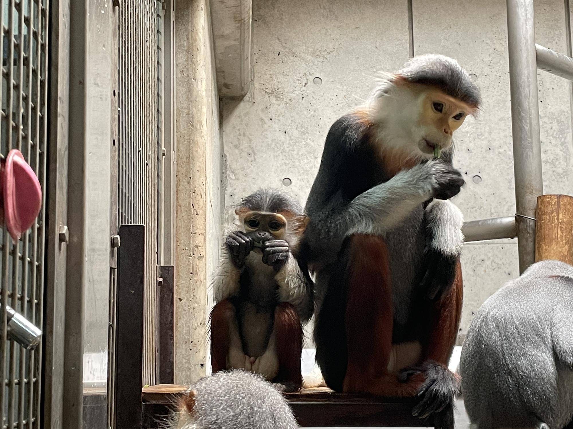 【飼育日誌】20230819:サンありがとう (15).jpg