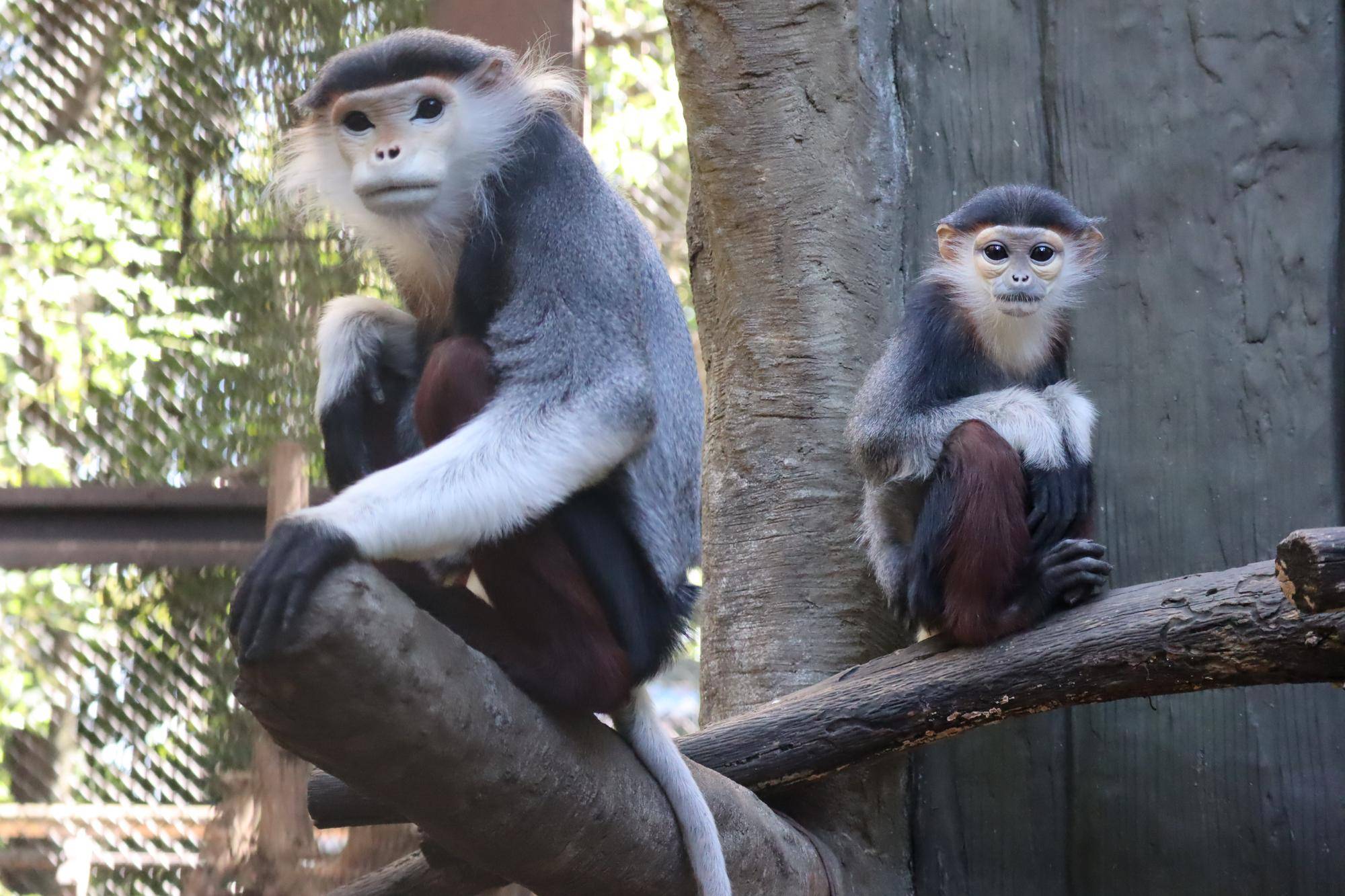 【飼育日誌】20230819:サンありがとう (28).jpg