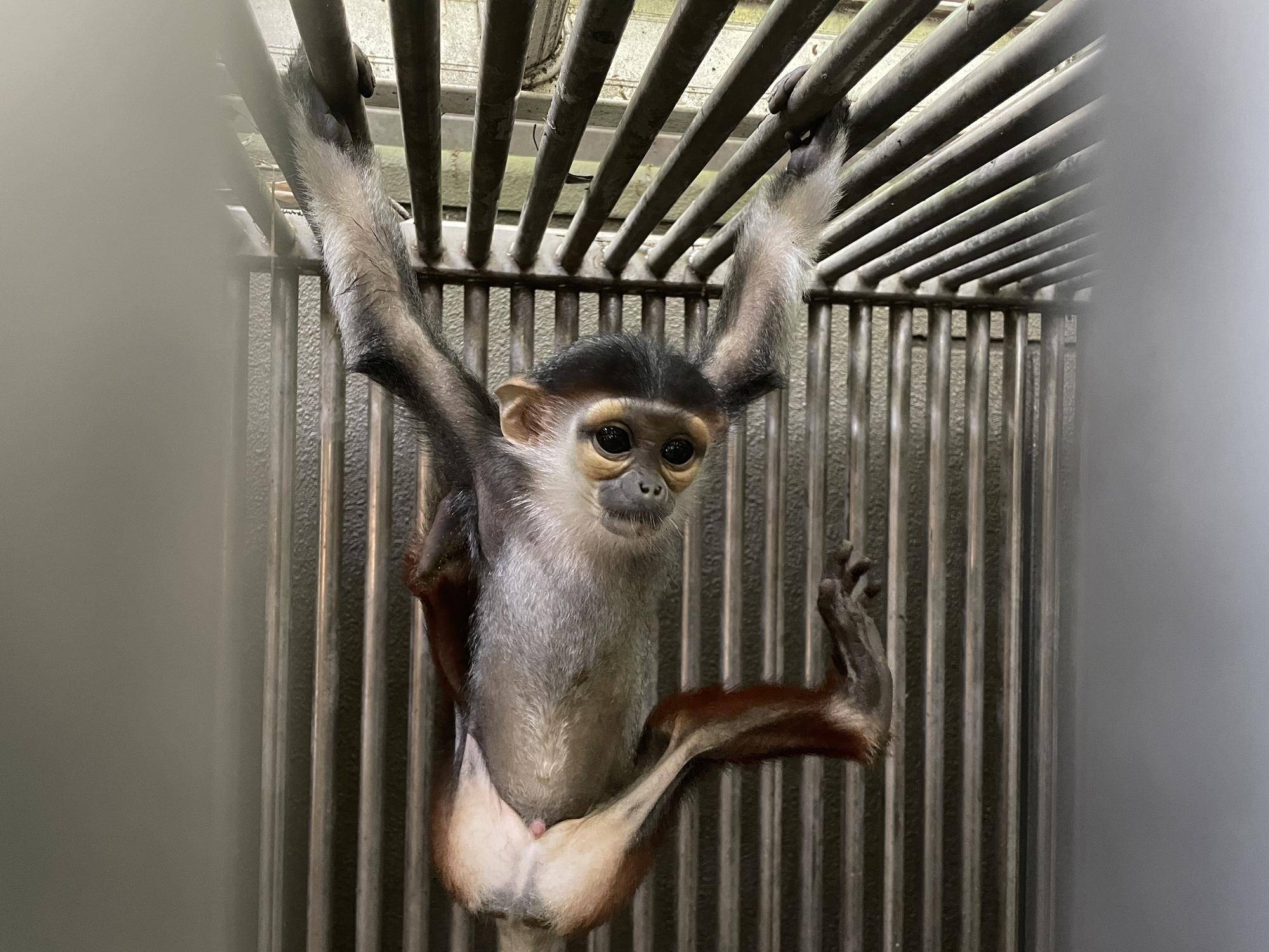 【飼育日誌】20230819:サンありがとう (6).jpg