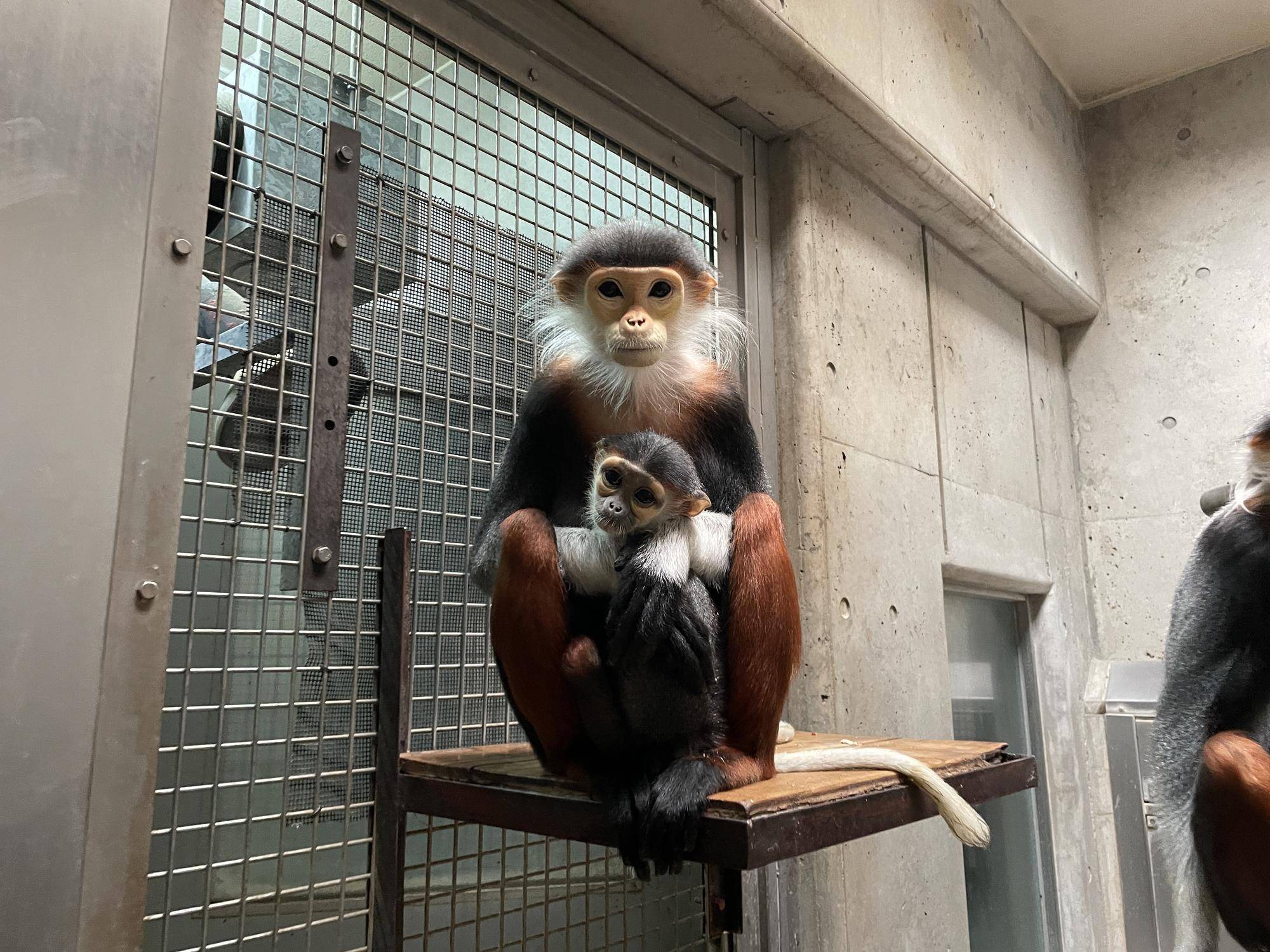 【飼育日誌】20230819:サンありがとう (11).jpg