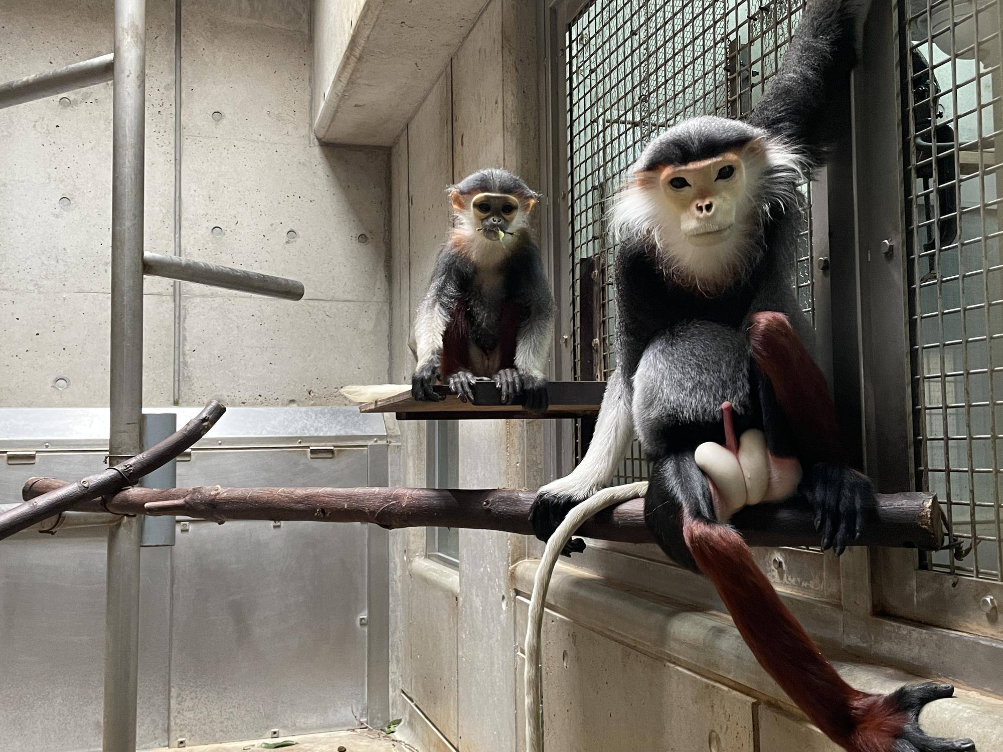 【飼育日誌】20230819:サンありがとう (27).jpg