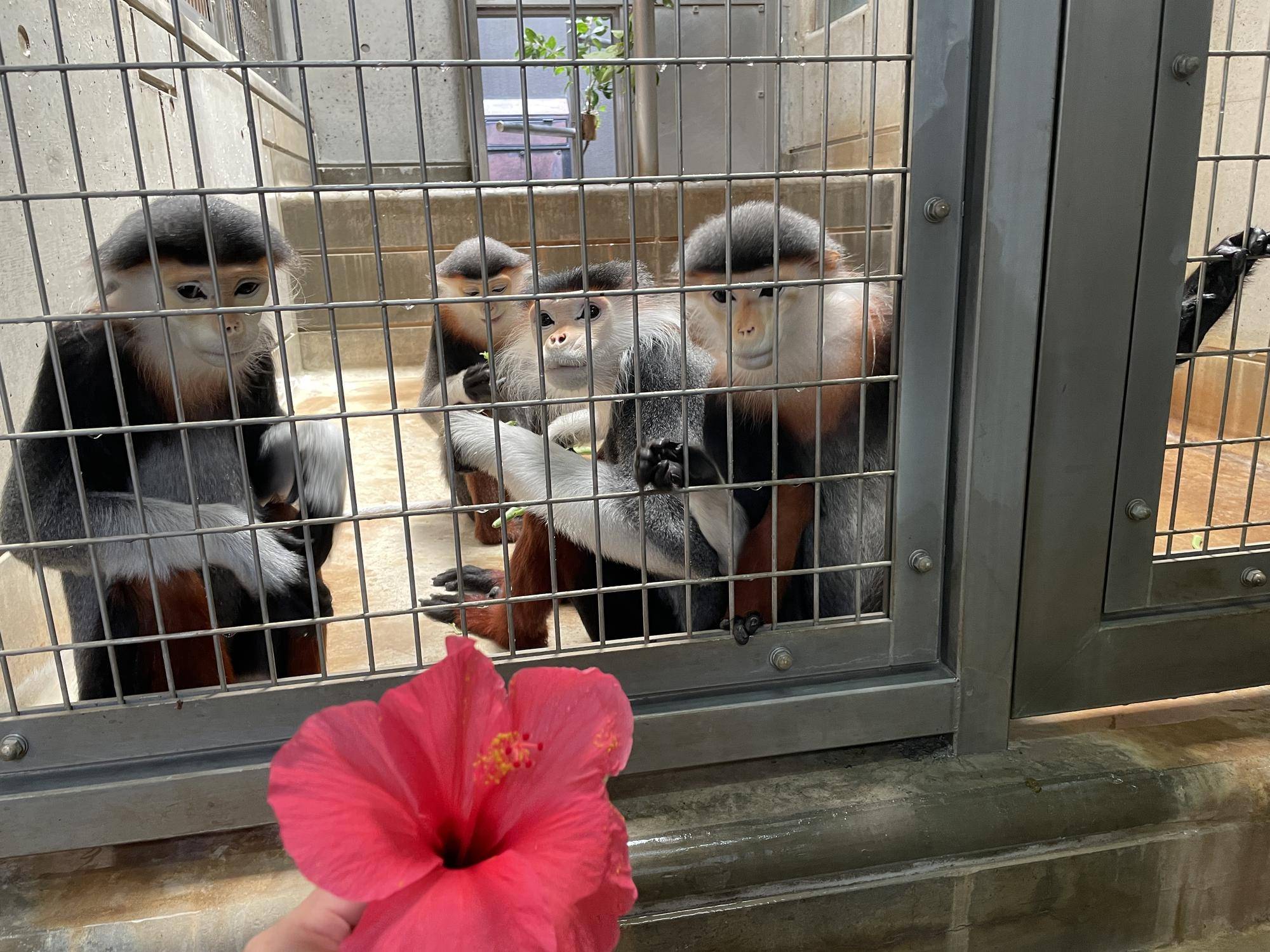 【飼育日誌】20230819:サンありがとう (31).jpg