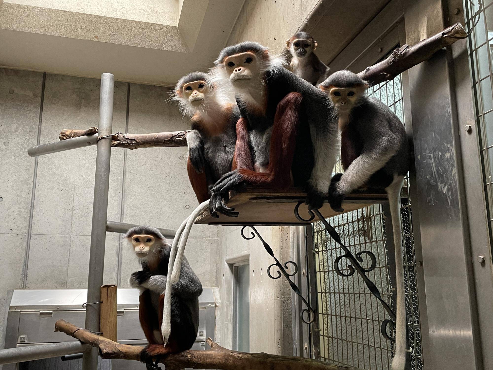 【飼育日誌】20230819:サンありがとう (8).jpg