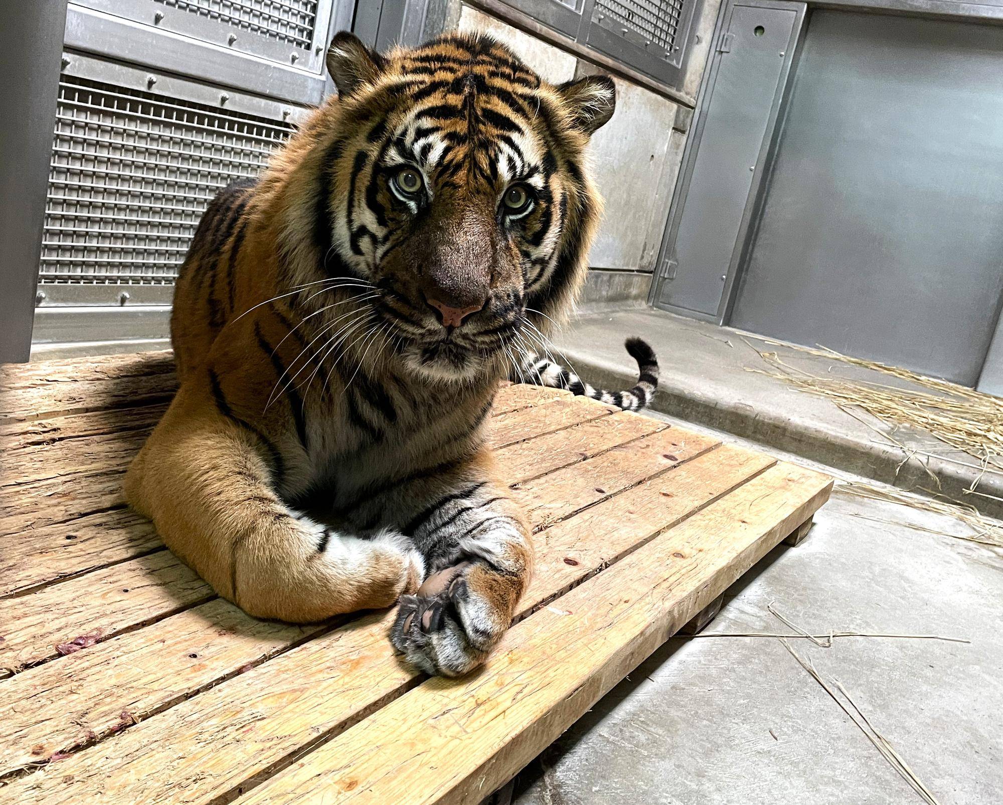 ガンター⑩ .jpg