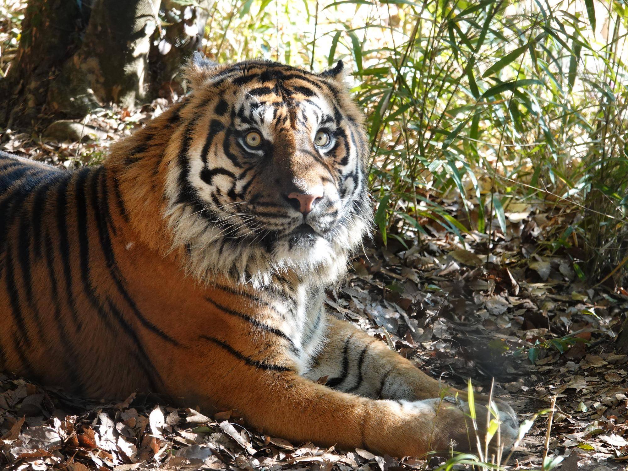 ガンター② .jpg