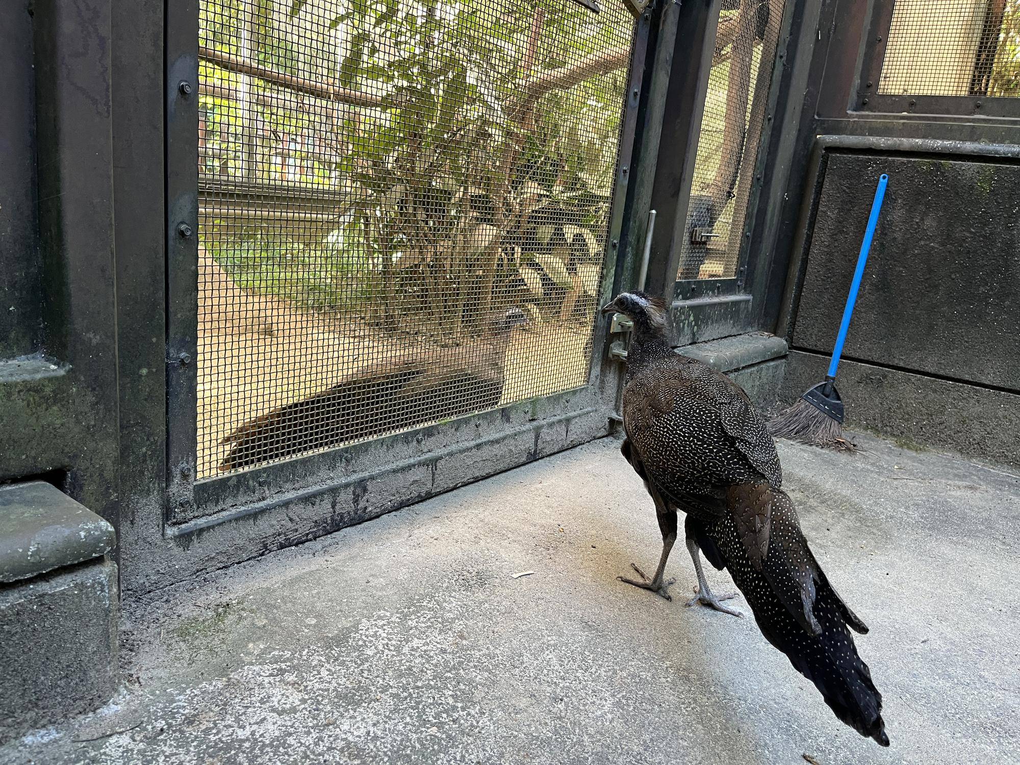 親子お別れ (6).jpg