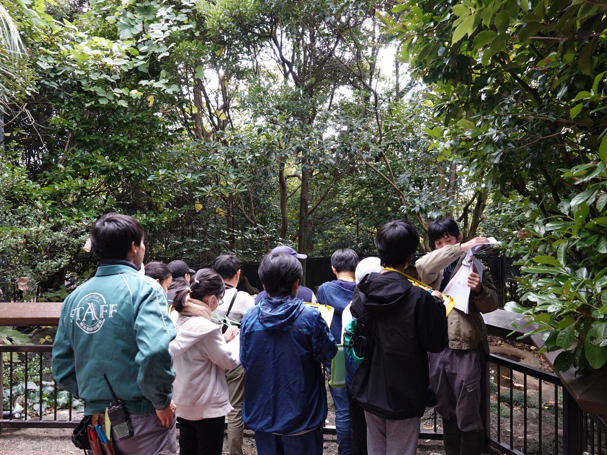 ヤブイヌについての説明