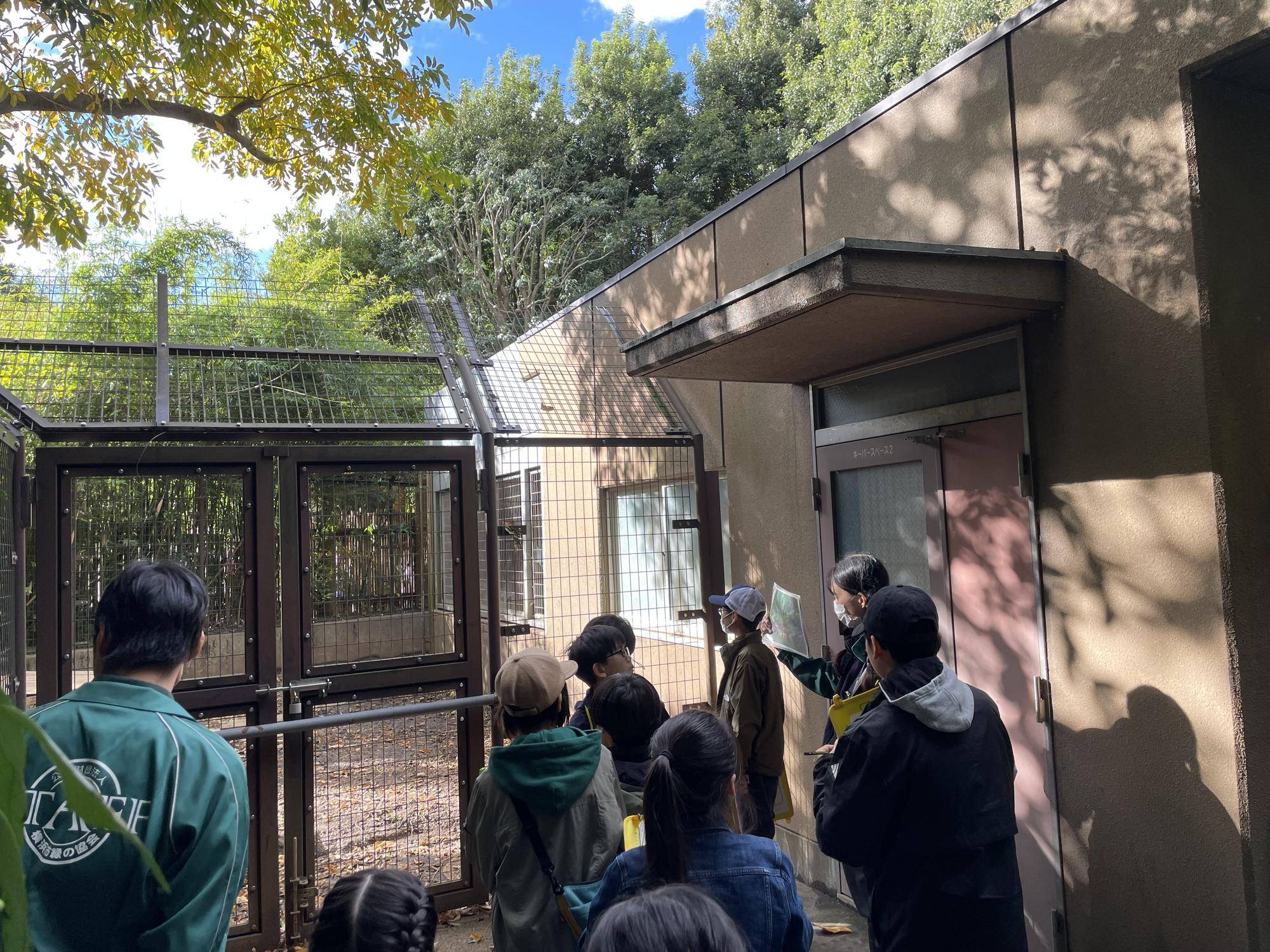 個体についての説明