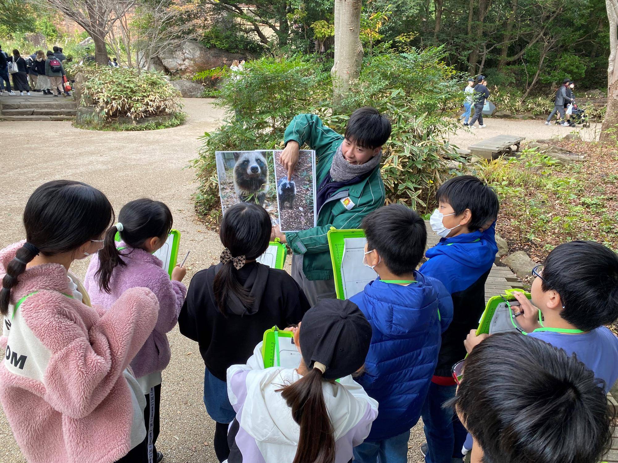 タヌキのガイド