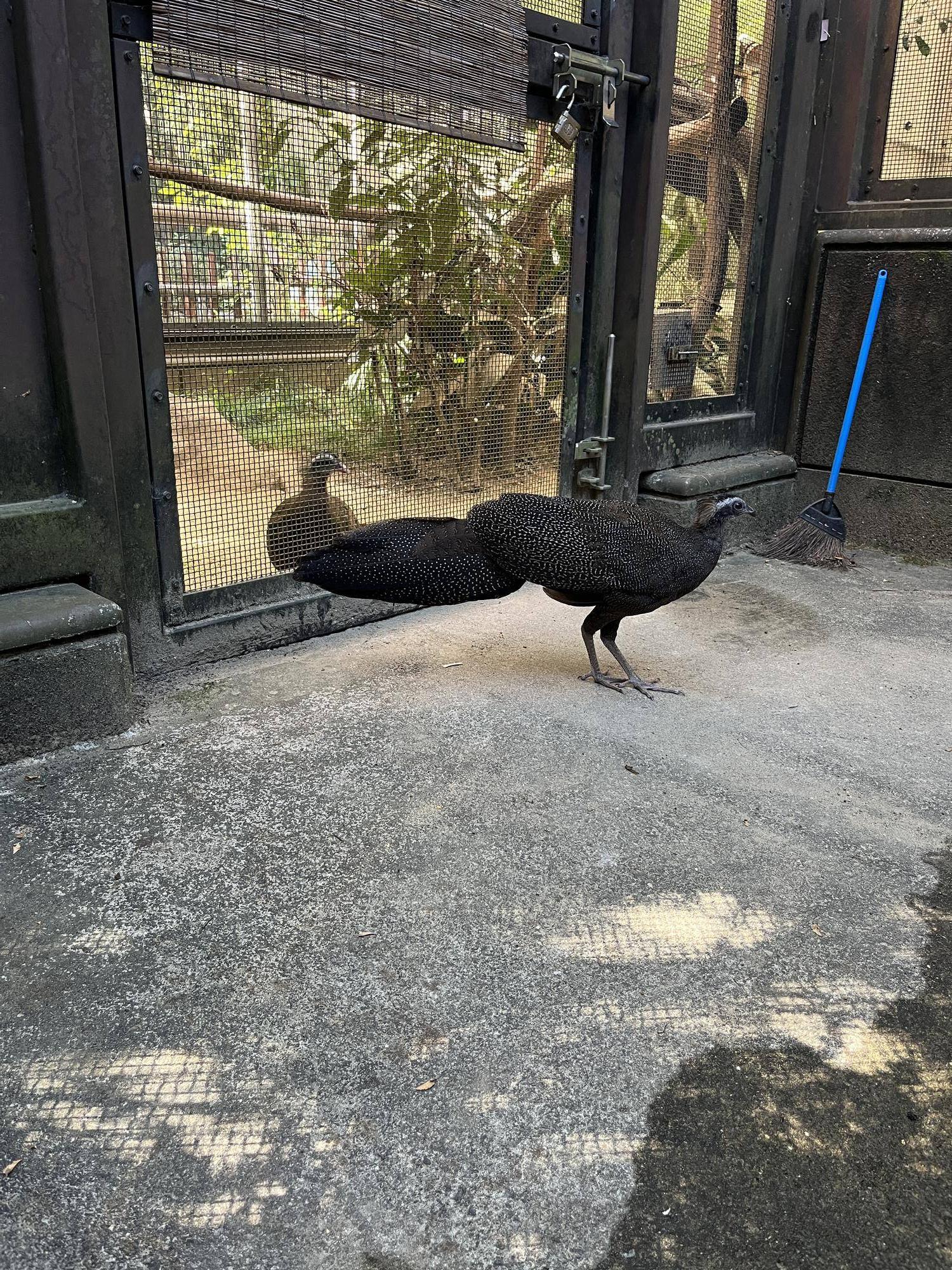 親子お別れ (4).jpg