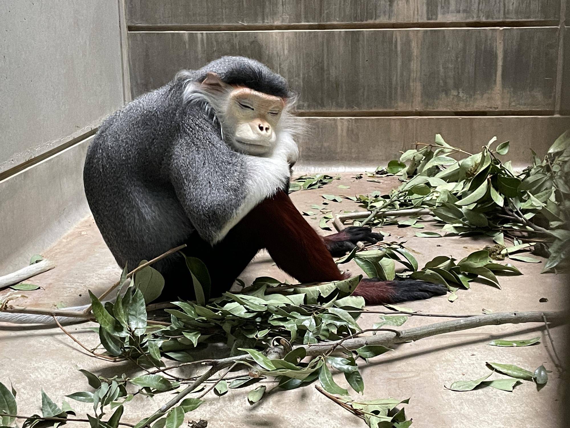 【飼育日誌】20231222:祝!28歳! (14).jpg