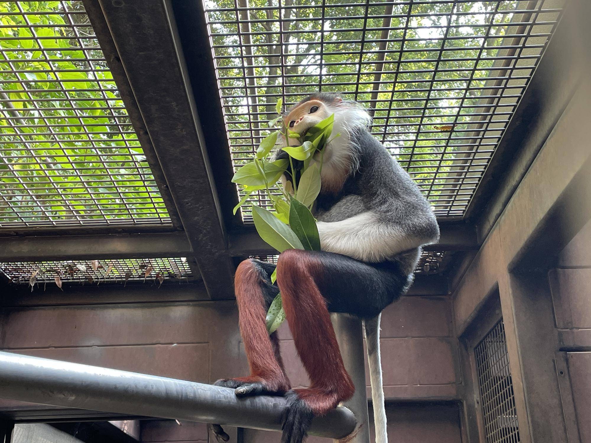 【飼育日誌】20231222:祝!28歳! (8).jpg