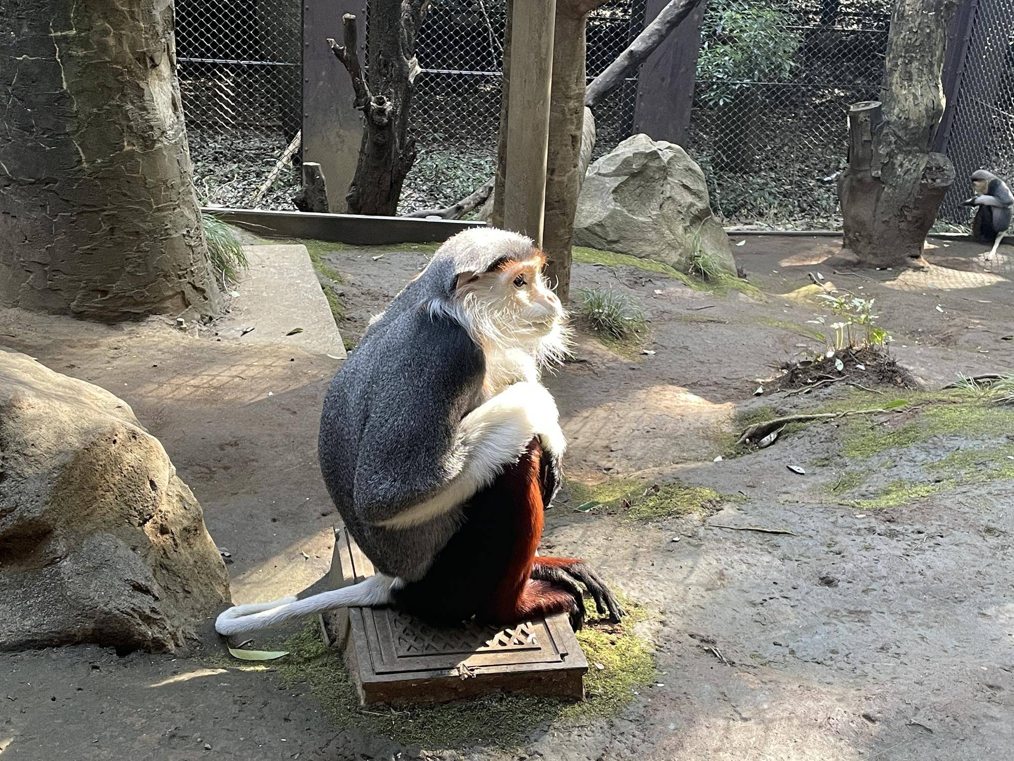 【飼育日誌】20231222:祝!28歳! (17).jpg