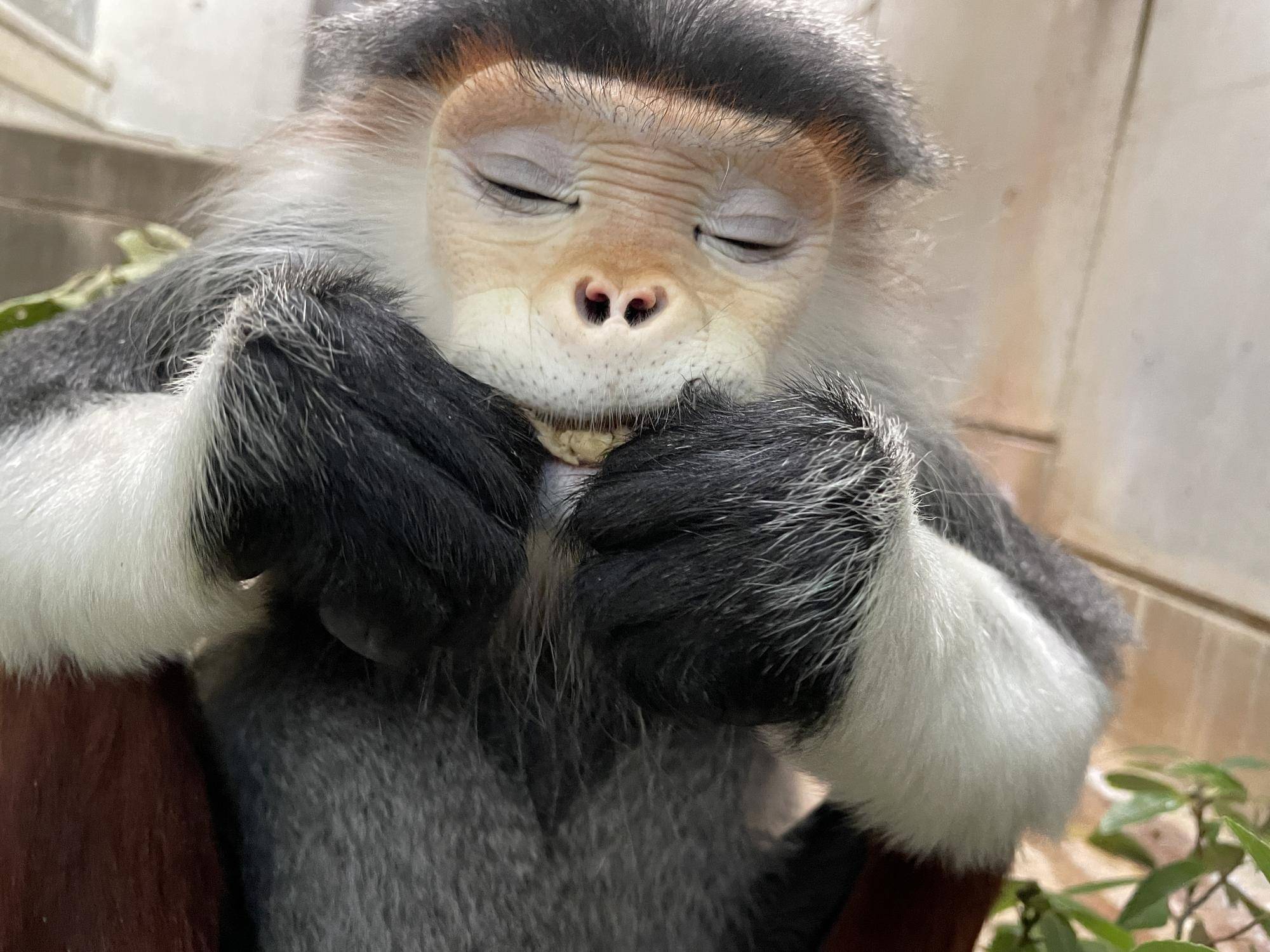 【飼育日誌】20231222:祝!28歳! (5).jpg