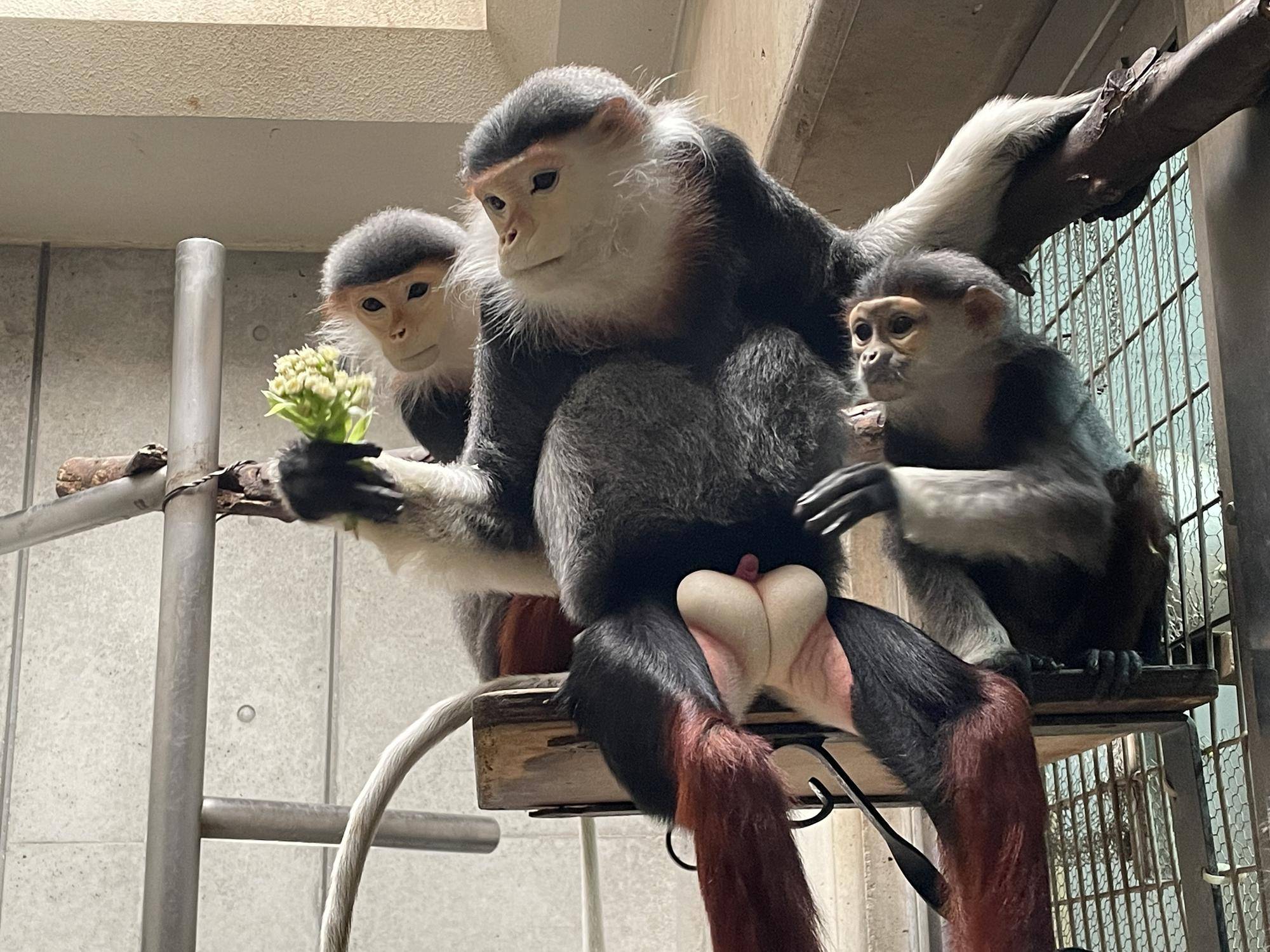 【飼育日誌】20231222:祝!28歳! (10).jpg