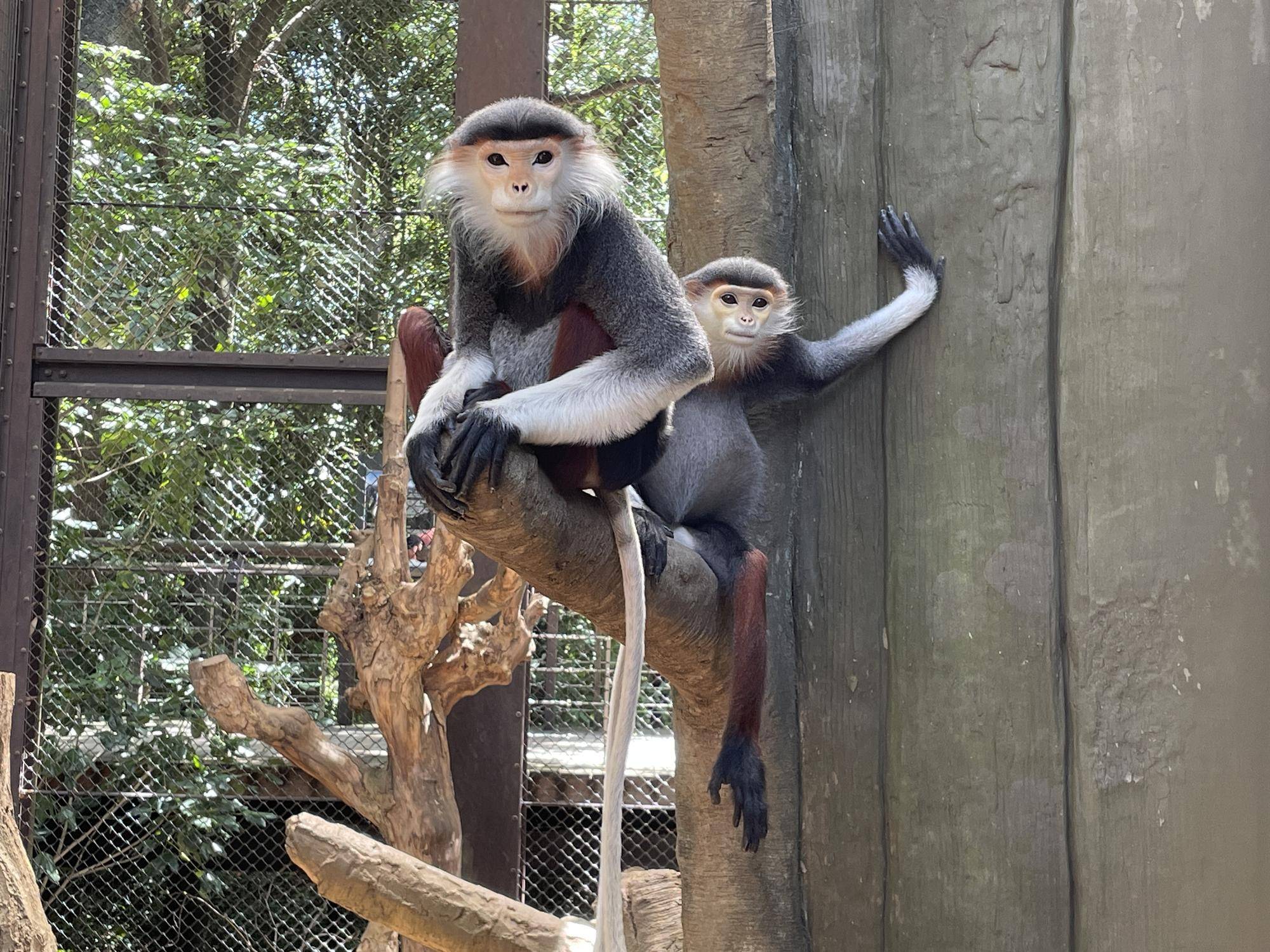 【飼育日誌】20231222:祝!28歳! (2).jpg