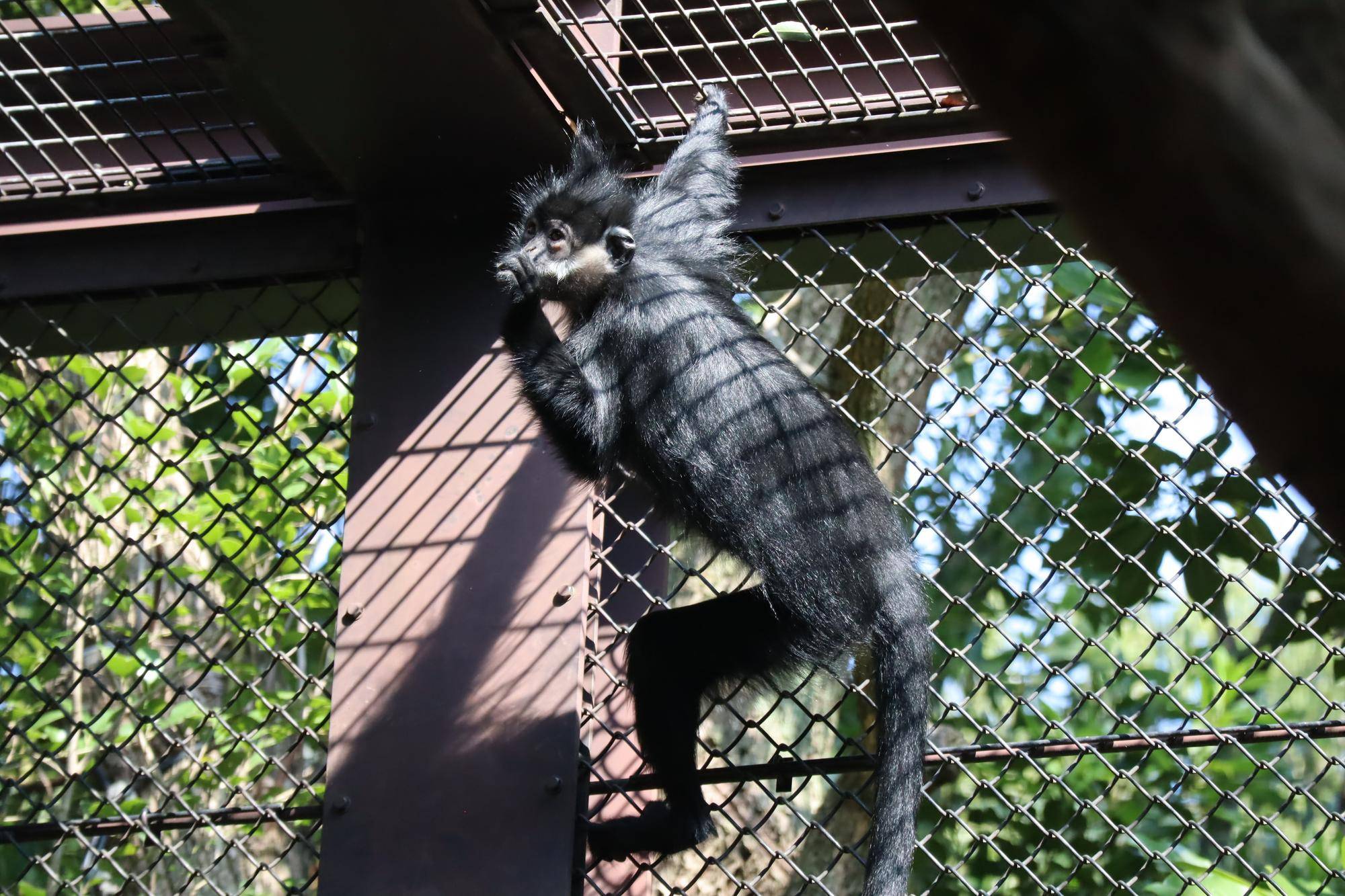 【飼育日誌】20231218:ユズぽん通信6 どんぐりパーティー (10).jpg