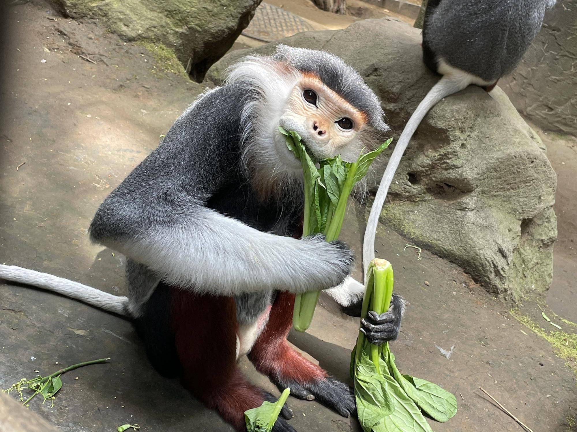 【飼育日誌】20231222:祝!28歳! (4).jpg