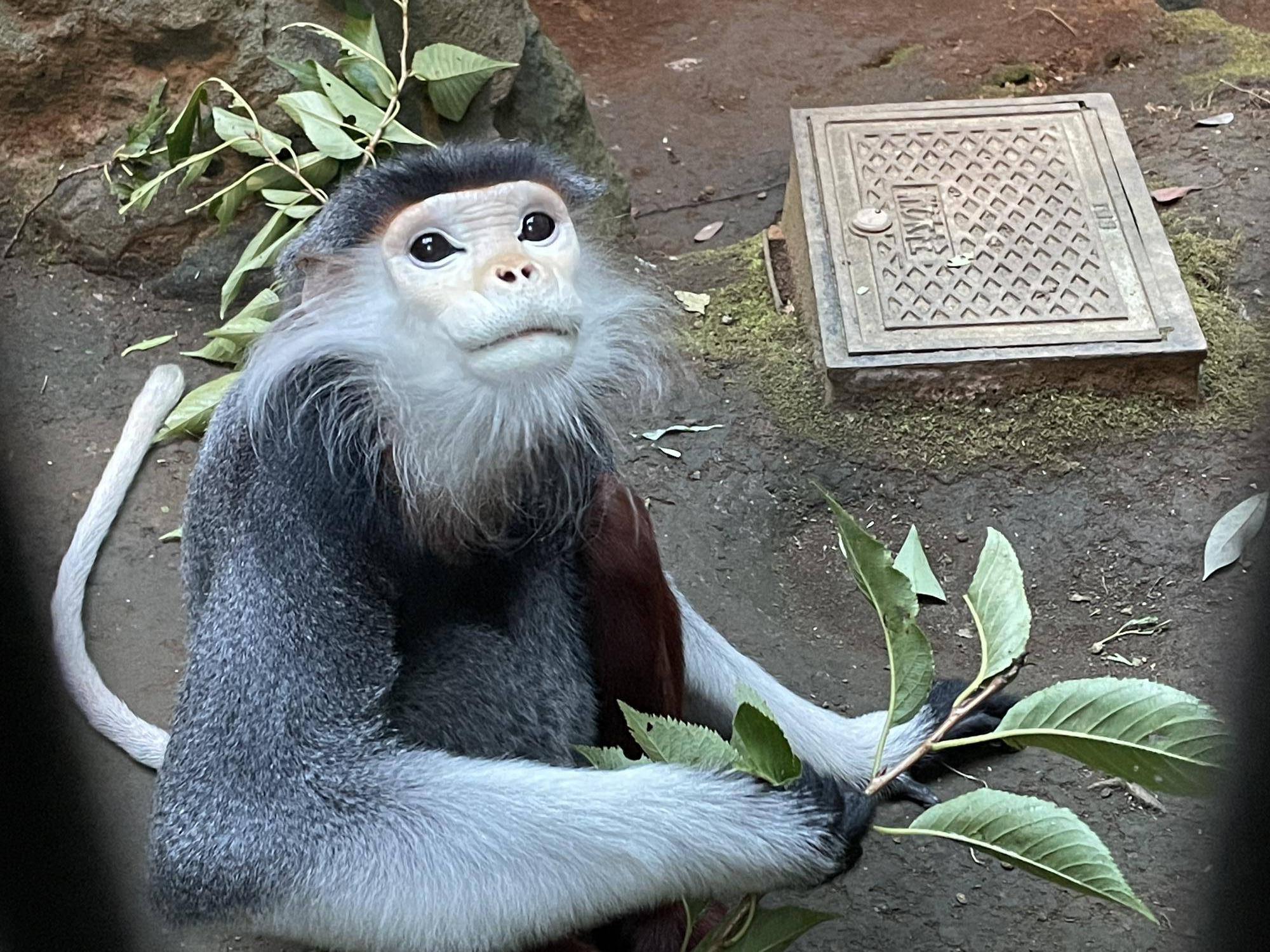 【飼育日誌】20231222:祝!28歳! (3).jpg