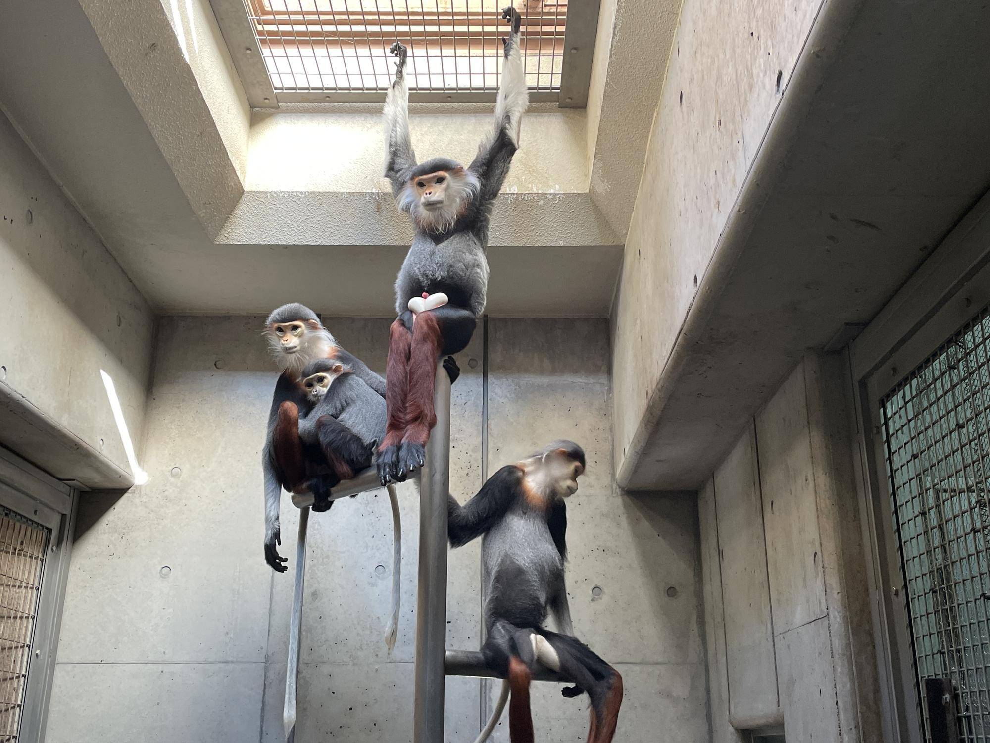 【飼育日誌】20231222:祝!28歳! (16).jpg