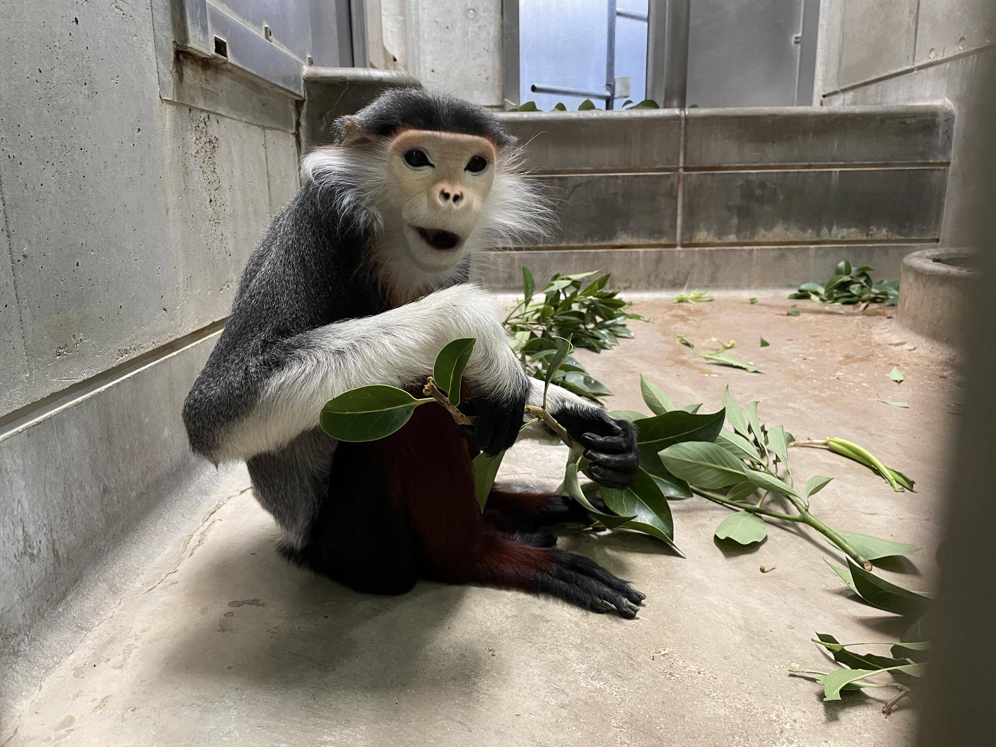 【飼育日誌】20231222:祝!28歳! (9).jpg