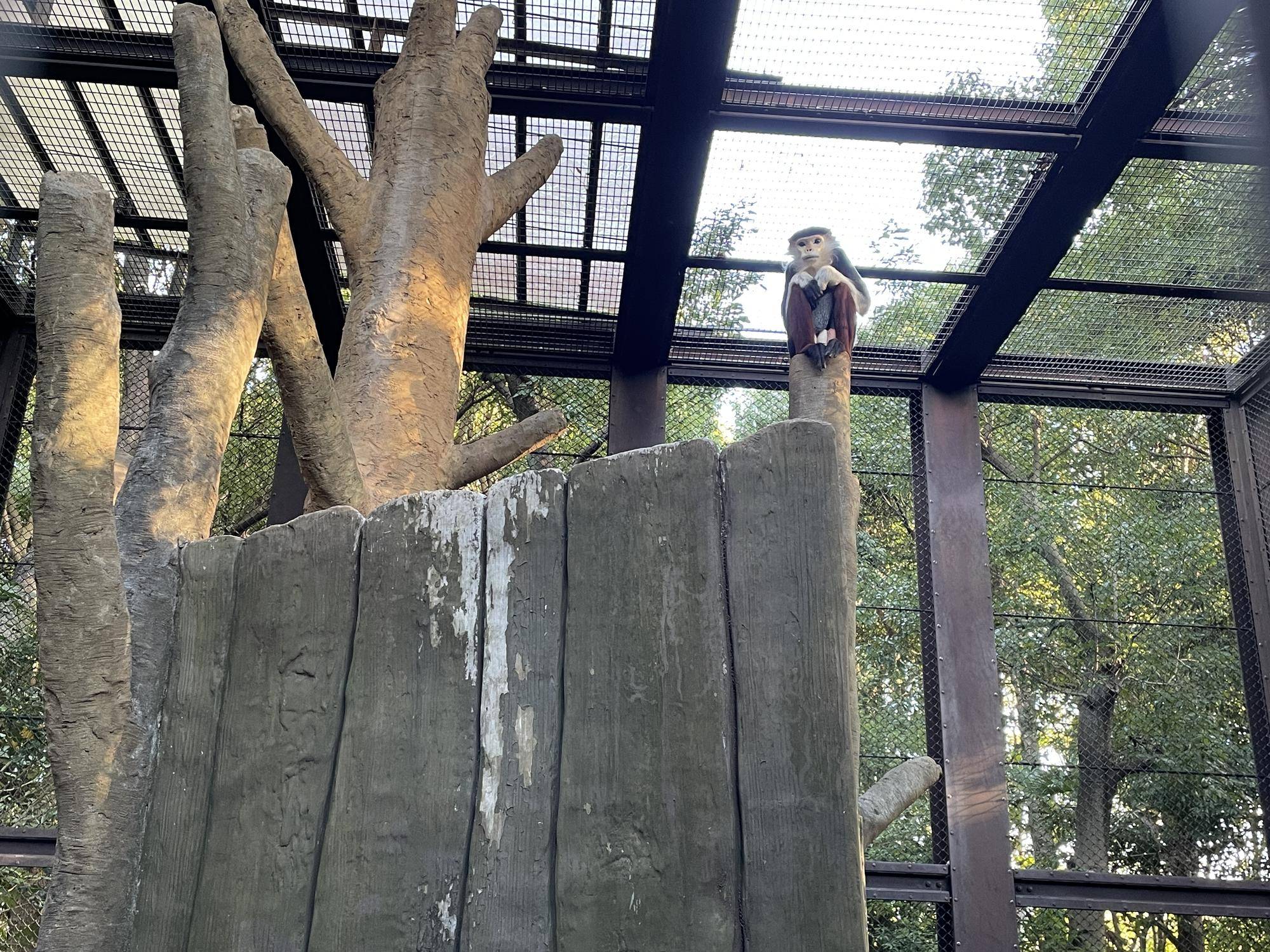 【飼育日誌】20231222:祝!28歳! (18).jpg