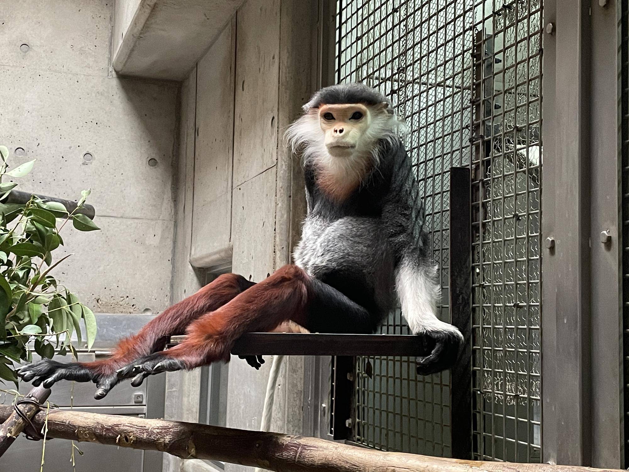 【飼育日誌】20231222:祝!28歳! (15).jpg