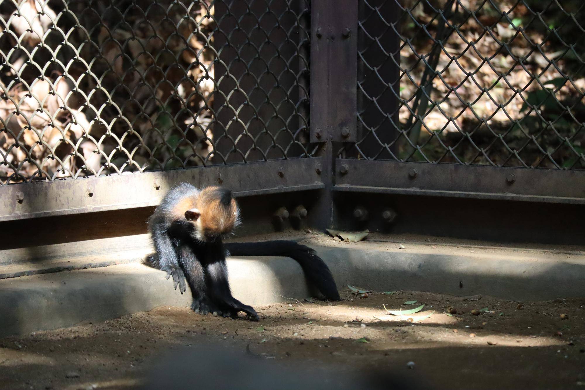 【飼育日誌】20231218:ユズぽん通信6 どんぐりパーティー (6).jpg