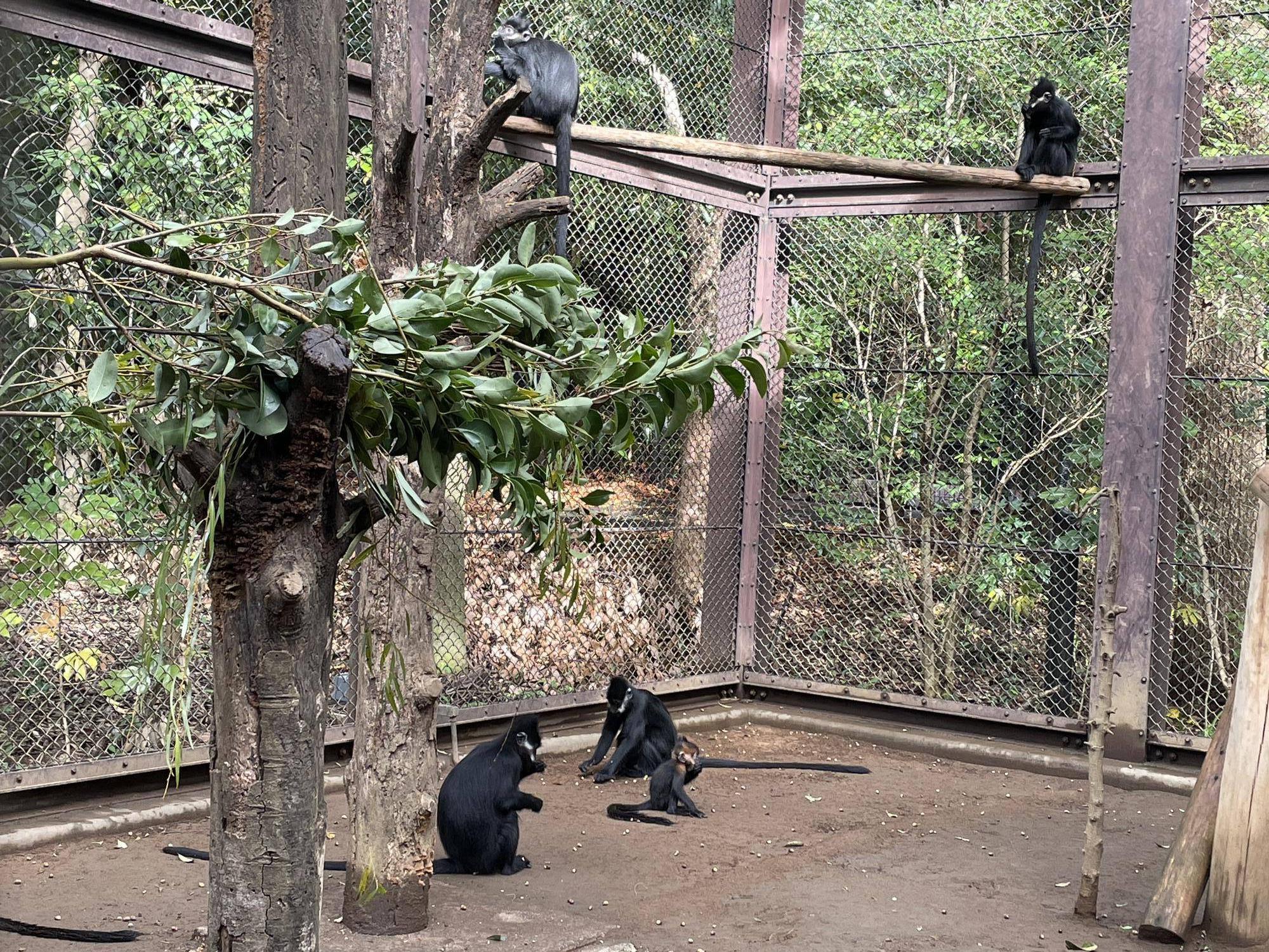 【飼育日誌】20231218:ユズぽん通信6 どんぐりパーティー (5).jpg