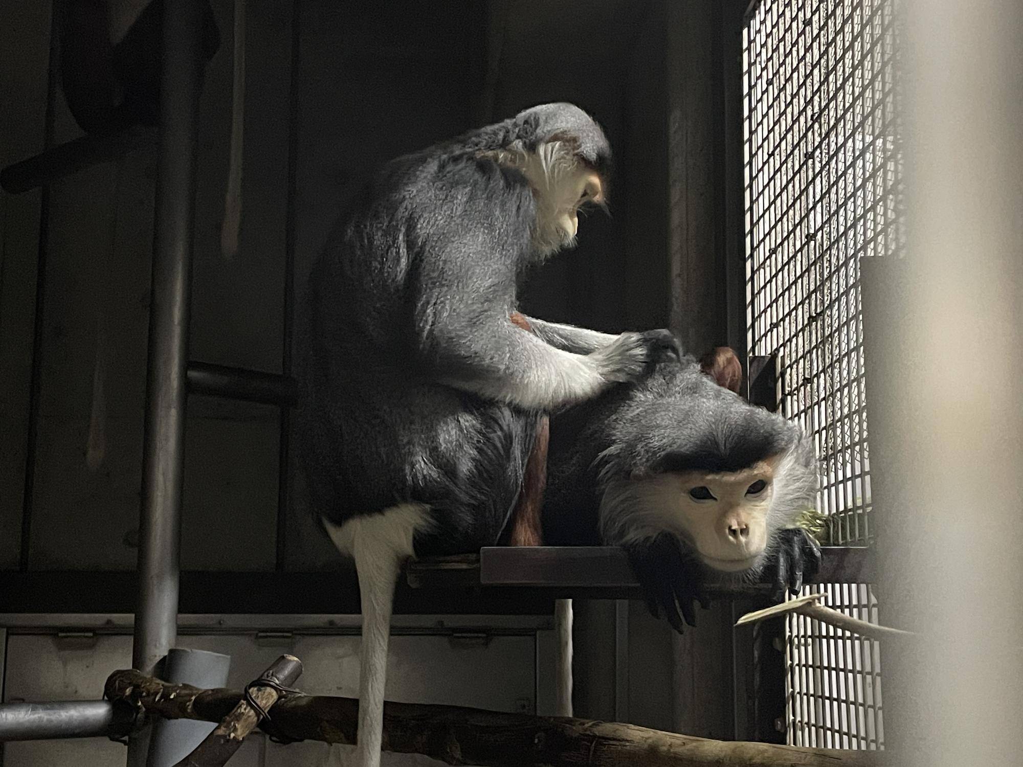 【飼育日誌】20231222:祝!28歳! (12).jpg