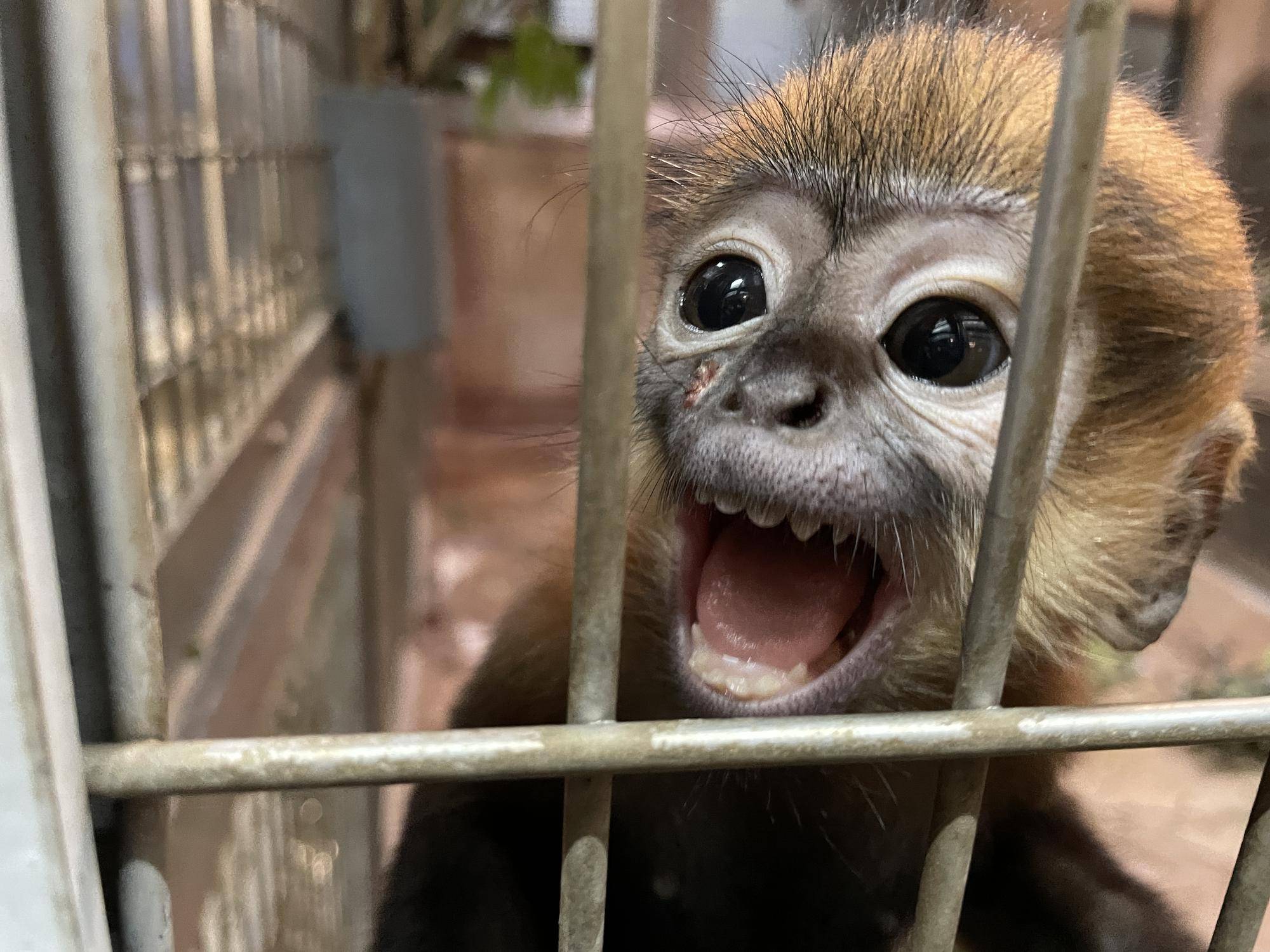 【飼育日誌】20240203：生まれました！！ (6).jpg