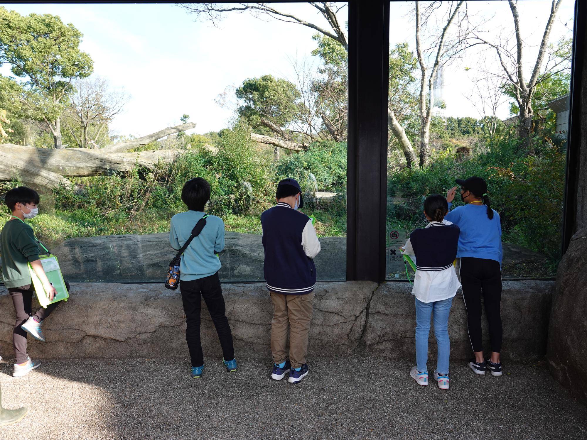 【飼育日誌】20240110：ズラスクネコ博士 (9).jpg