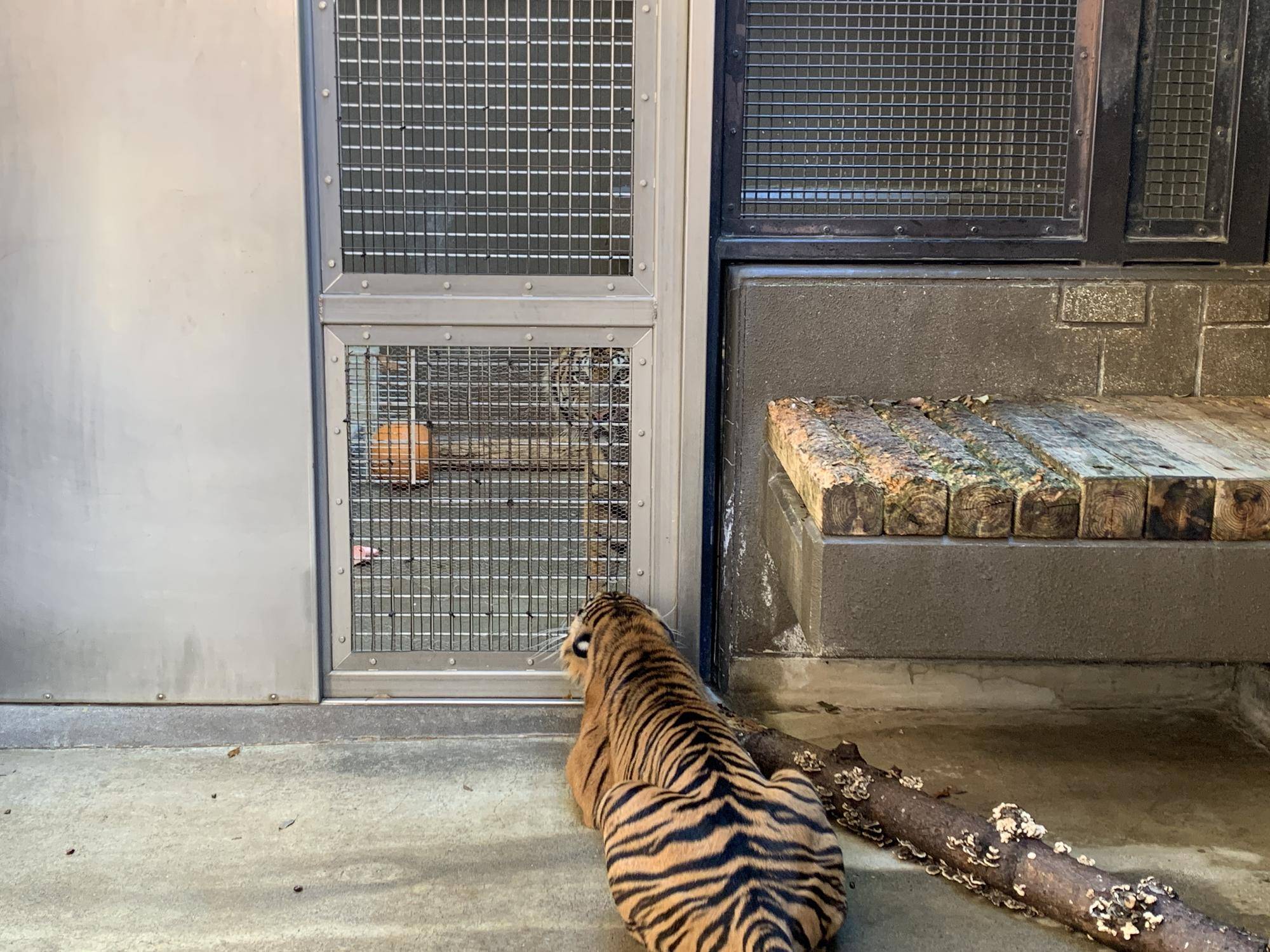 お見合い⑧ .jpg