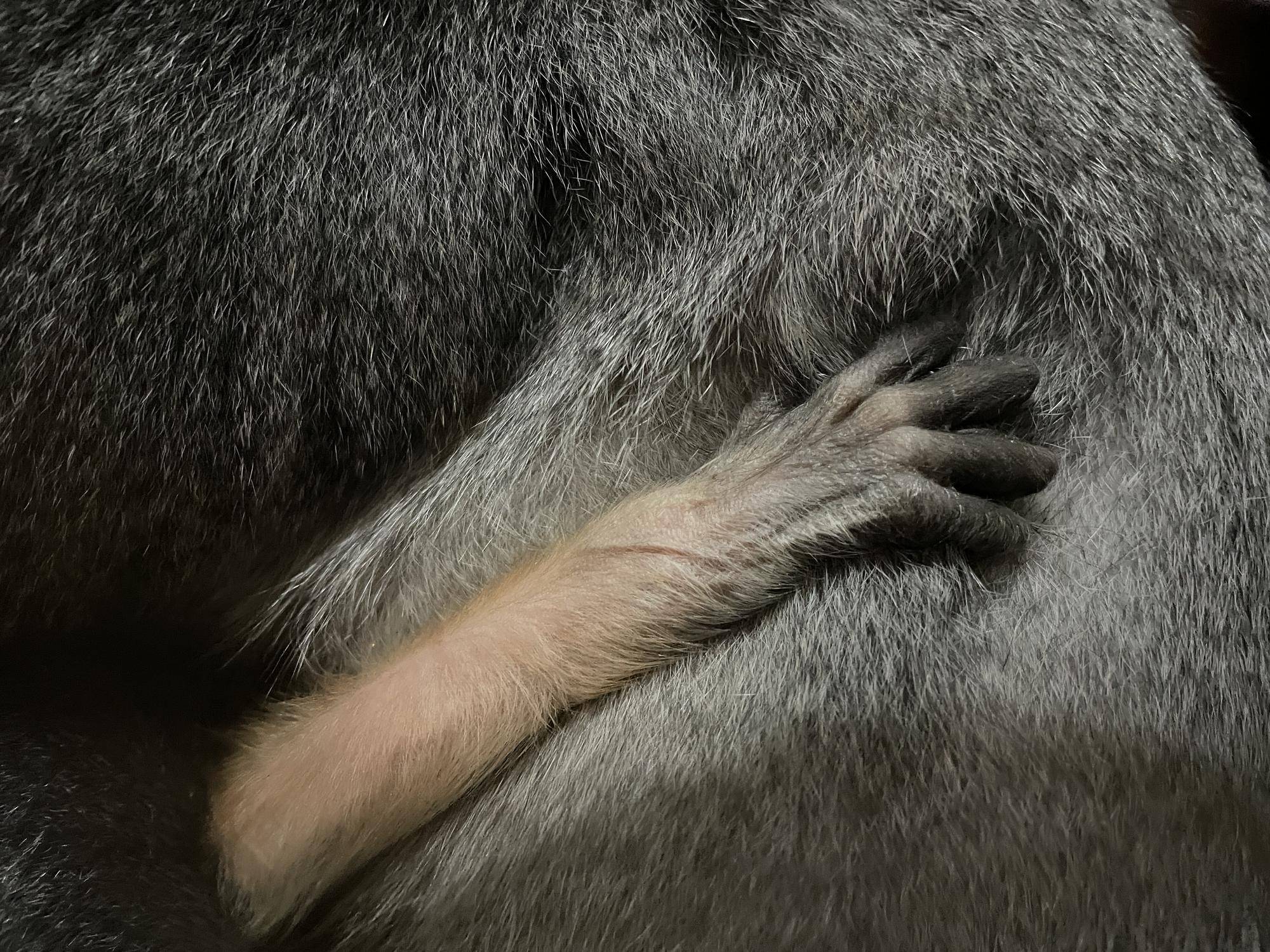 【飼育日誌】20240203：生まれました！！ (5).jpg