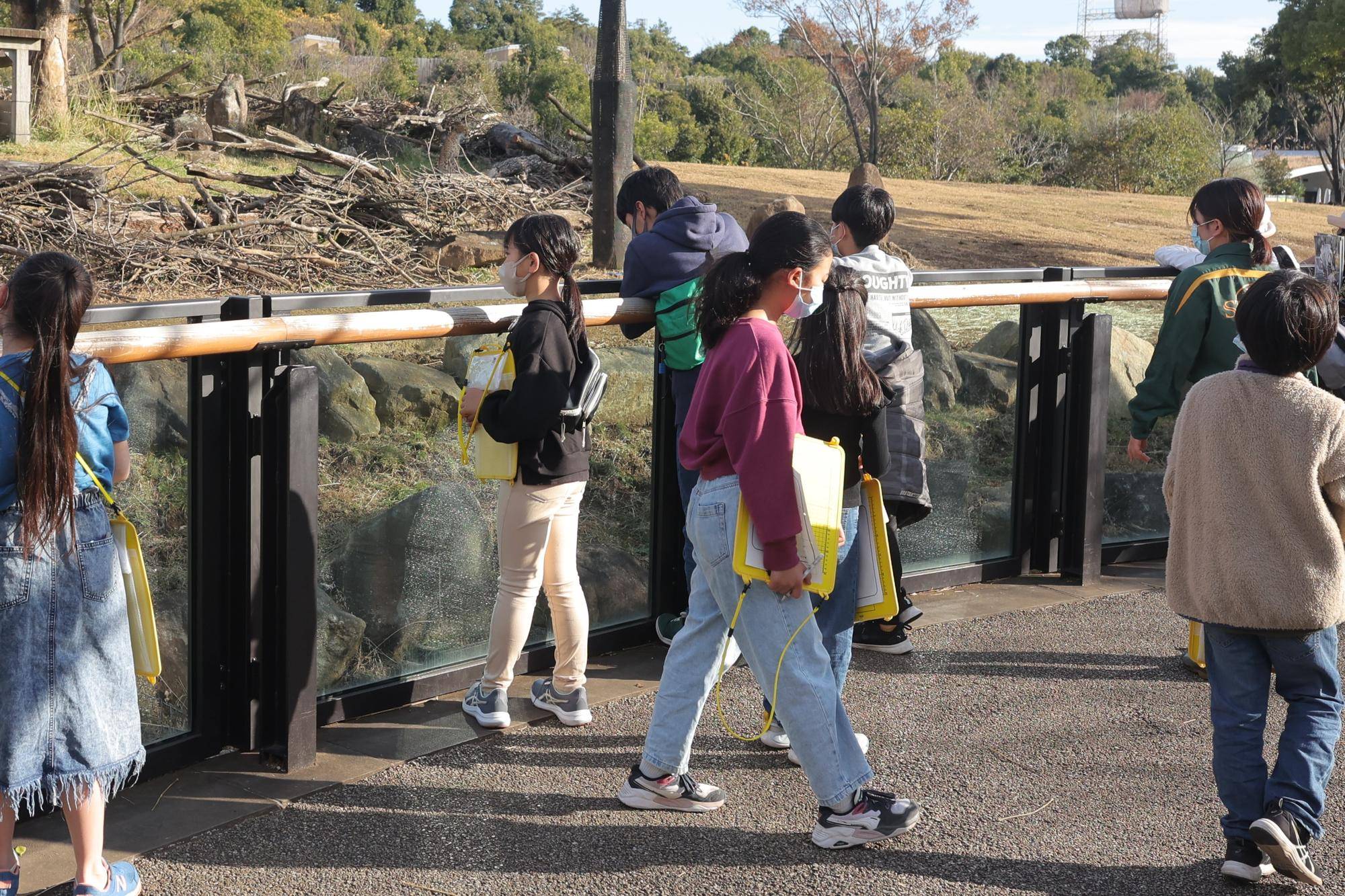 【飼育日誌】20240110：ズラスクネコ博士 (13).jpg