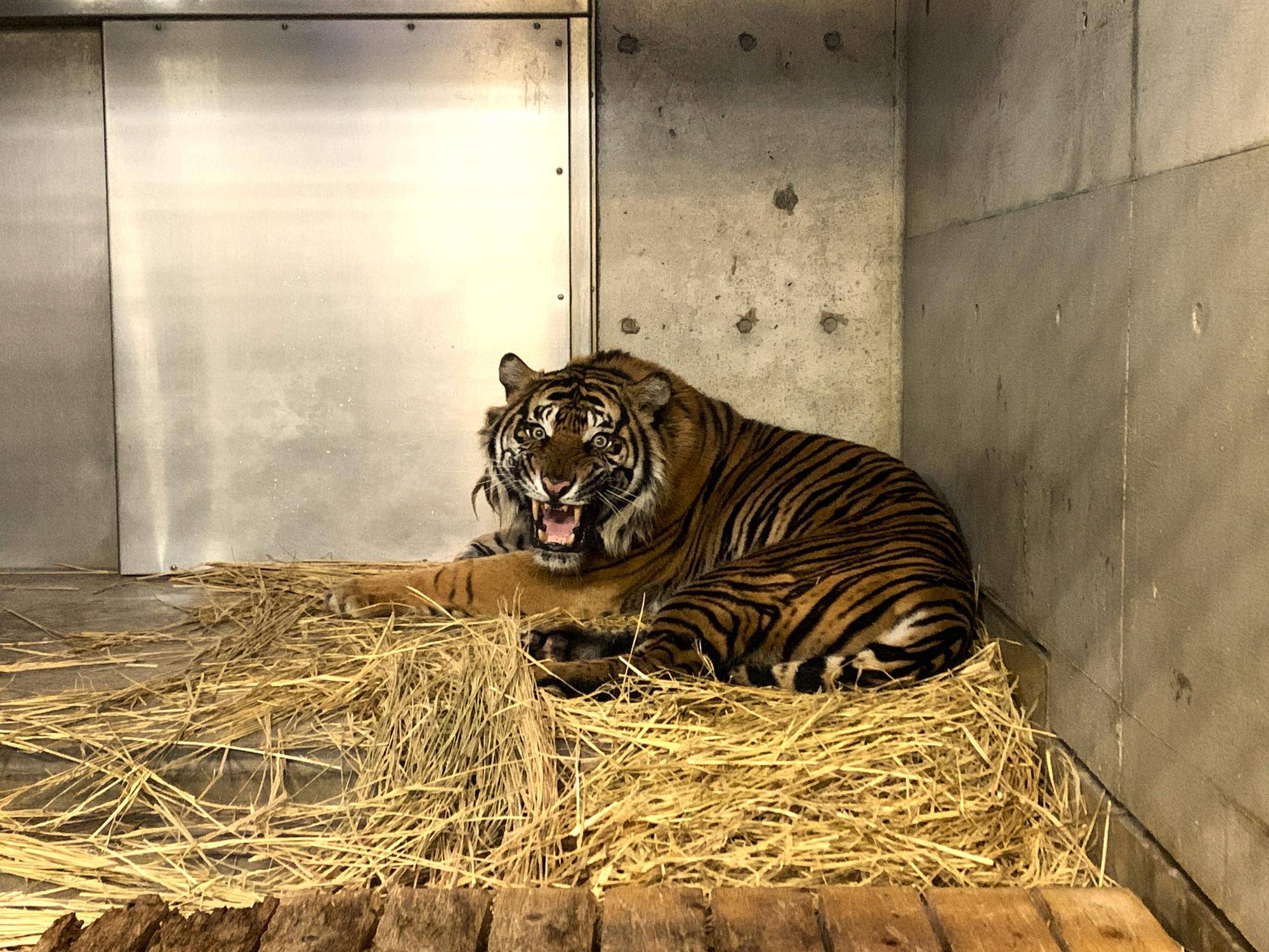 お見合い⑩ .jpg