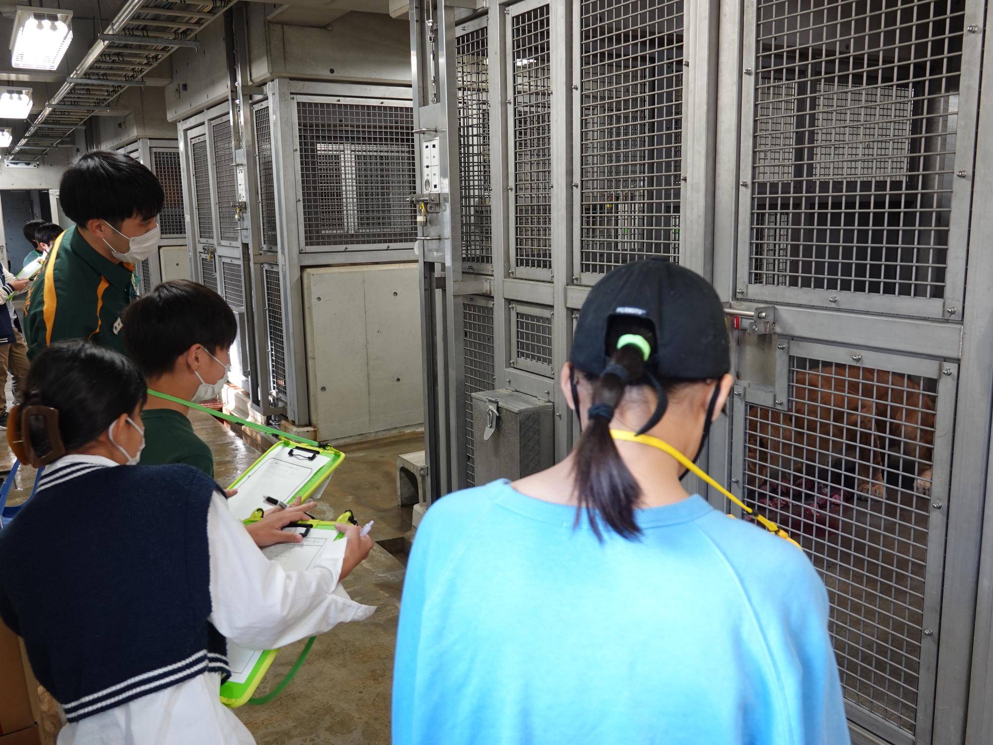 【飼育日誌】20240110：ズラスクネコ博士 (8).jpg