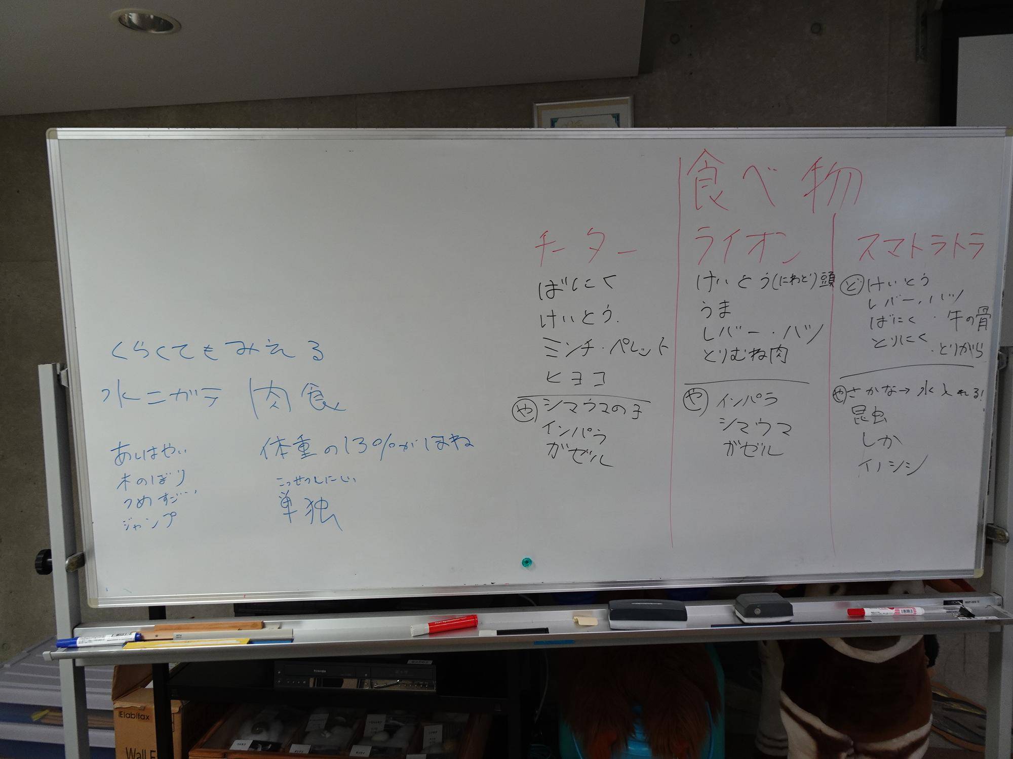 【飼育日誌】20240110：ズラスクネコ博士 (15).jpg