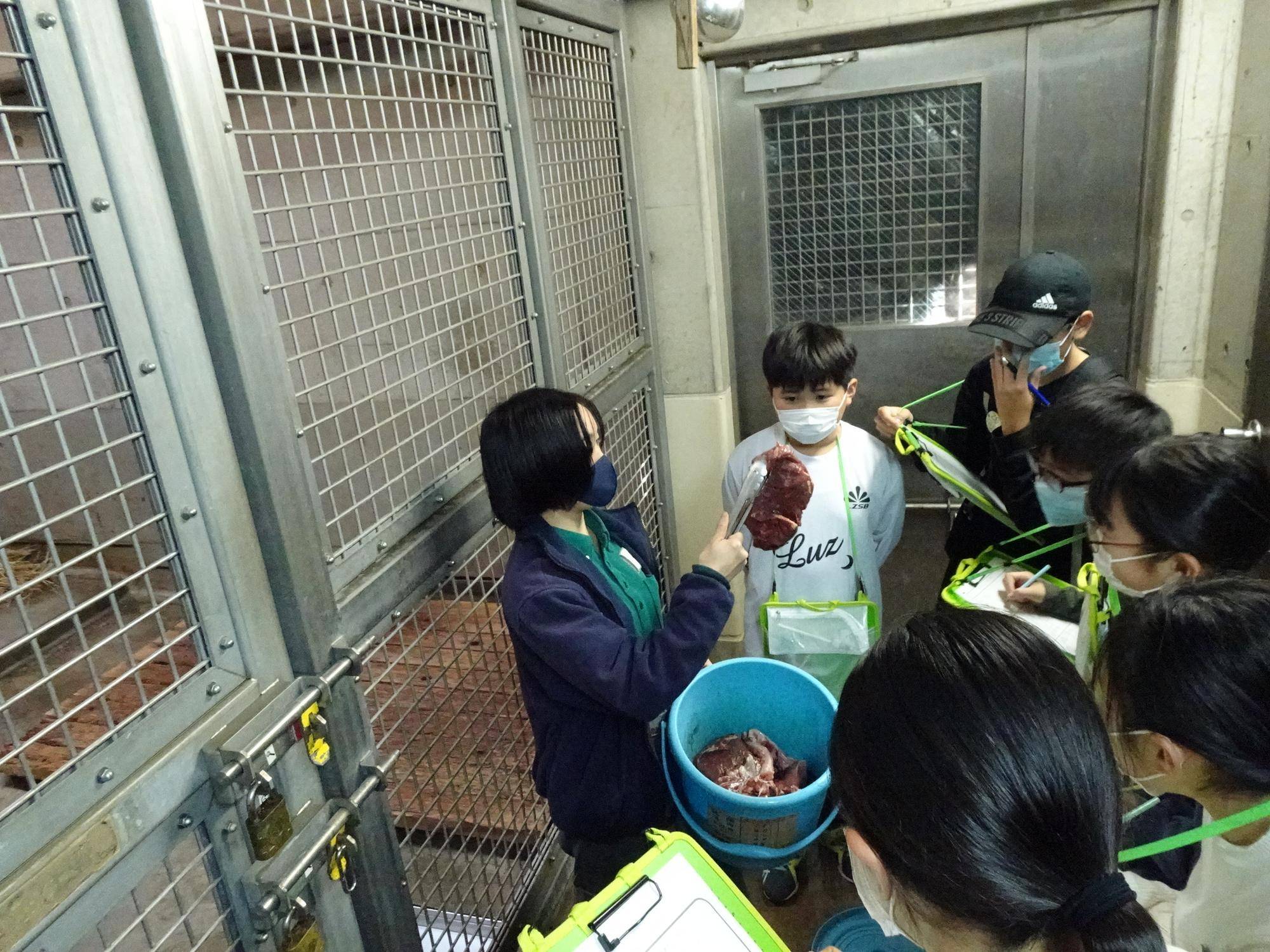 【飼育日誌】20240110：ズラスクネコ博士 (6).jpg