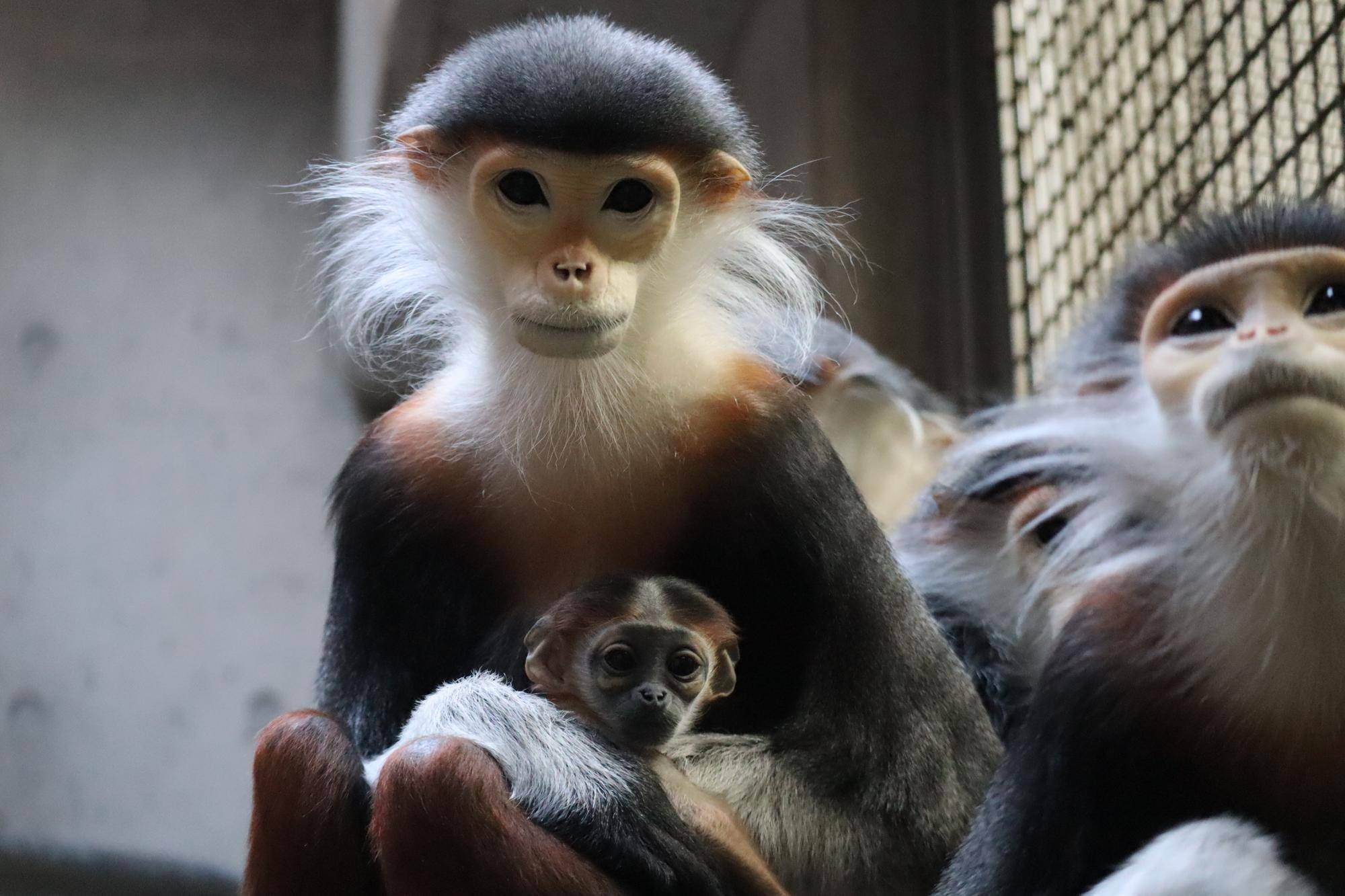 【飼育日誌】20240203：生まれました！！ (12).jpg