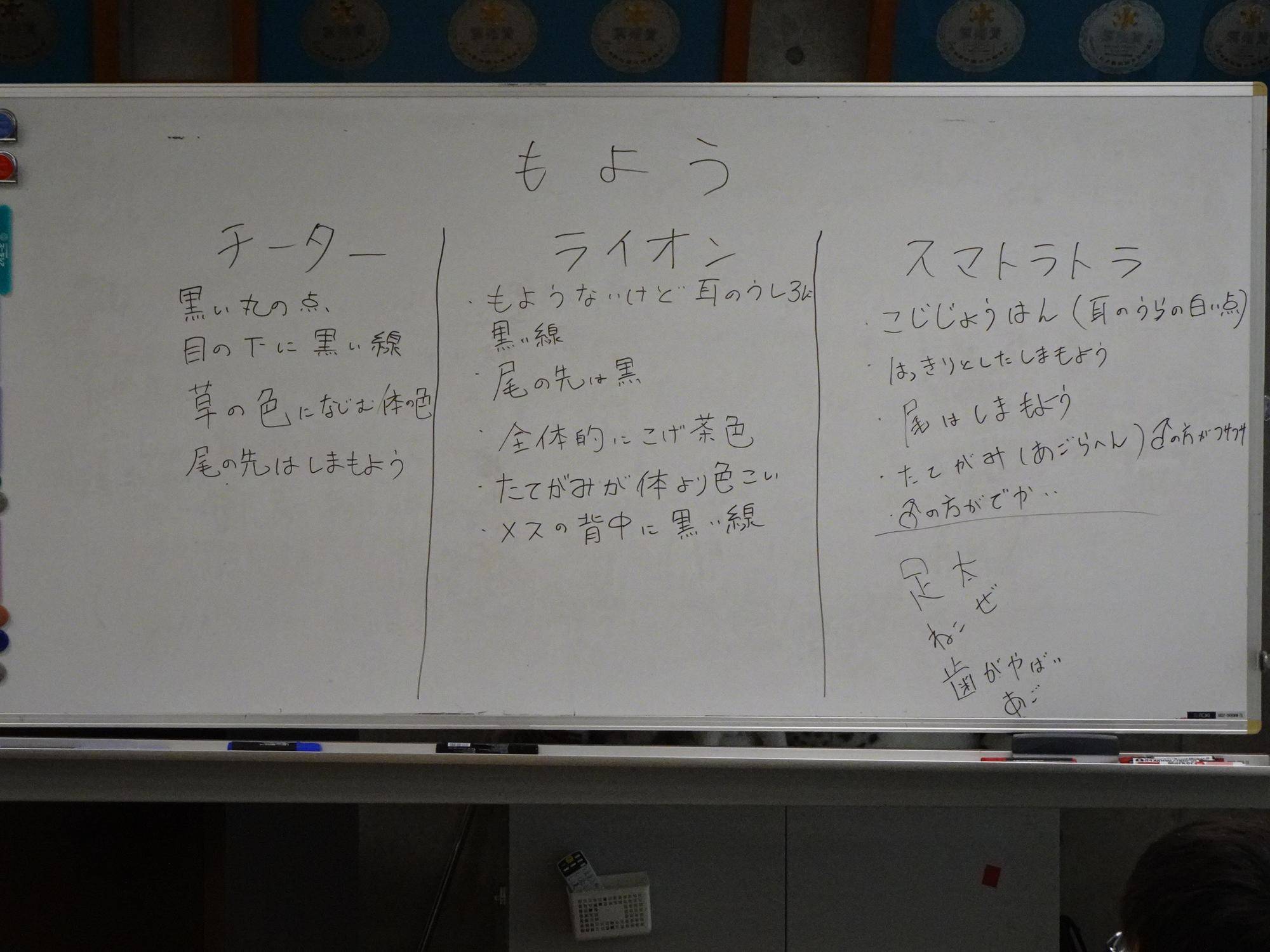 【飼育日誌】20240110：ズラスクネコ博士 (17).jpg