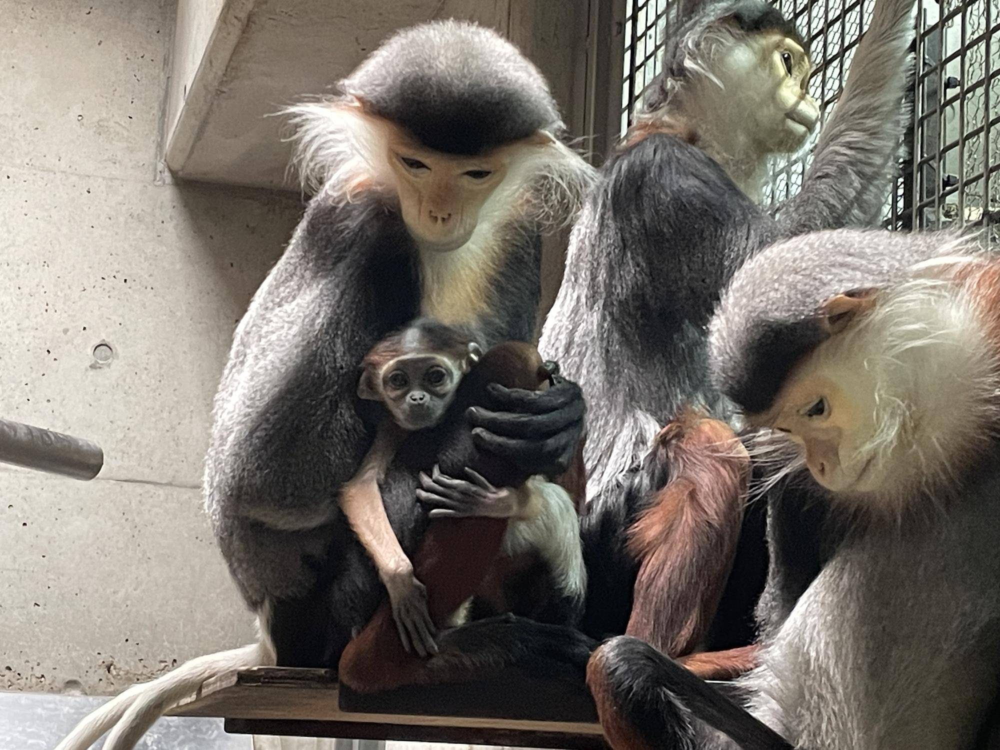 【飼育日誌】20240203：生まれました！！ (10).jpg